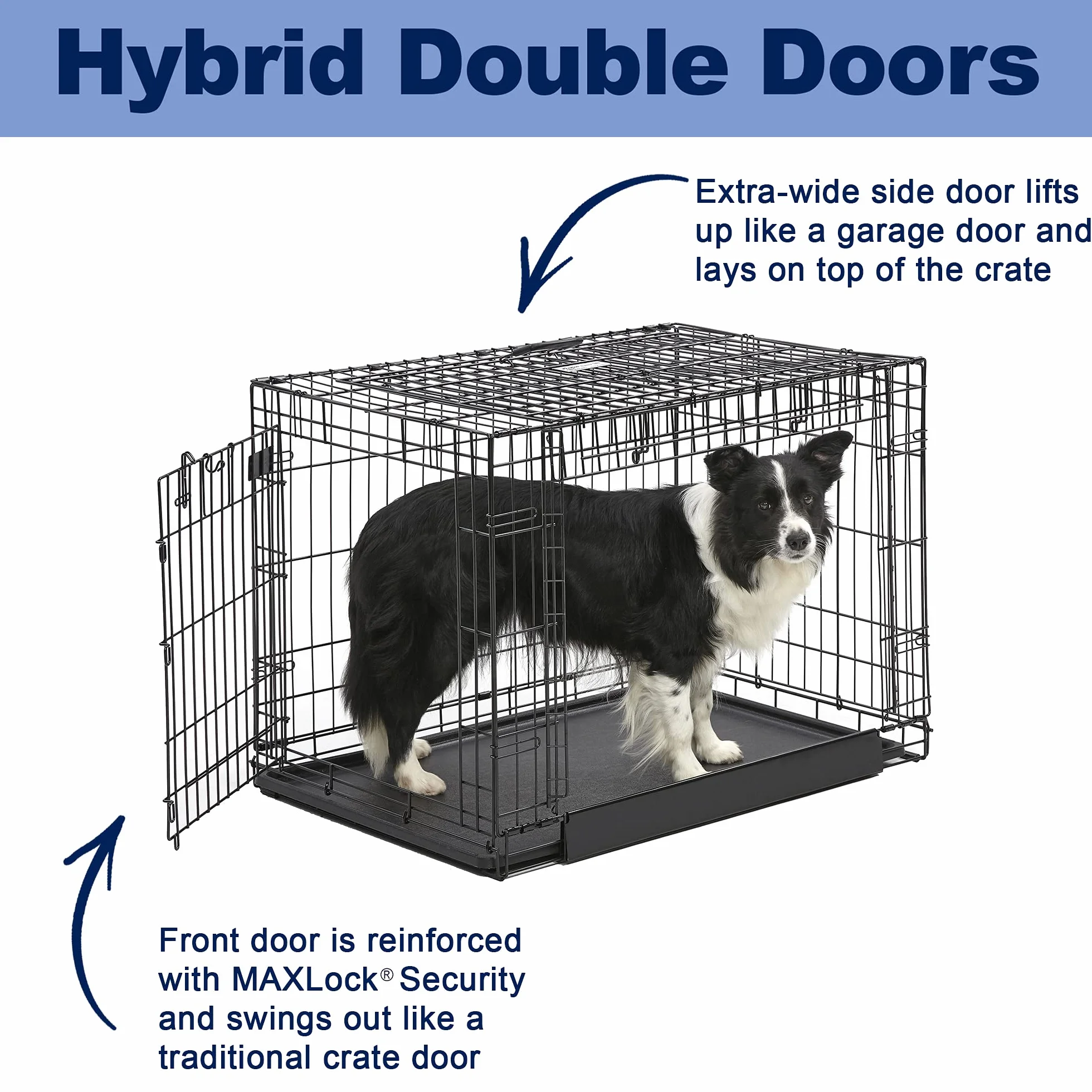 MidWest Homes for Pets Intermediate Ovation Double Door 36-inch Folding Metal Dog Crate, Front and Up & Away Side Doors, Space-Saving Design