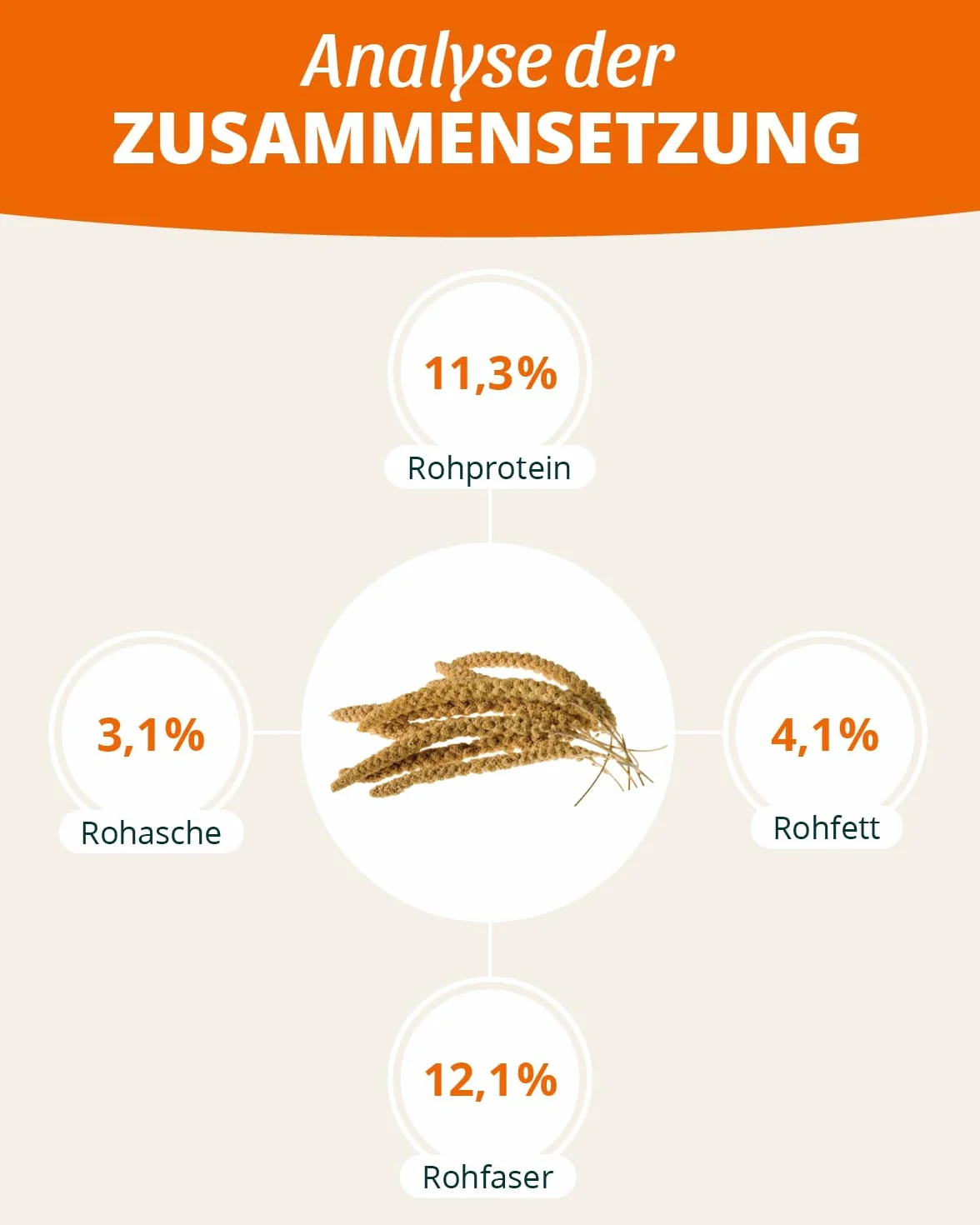 petifool Proso kolby żółte 500 g – pasza dla wszystkich ptaków ozdobnych – karma dla ptaków – 100% naturalna