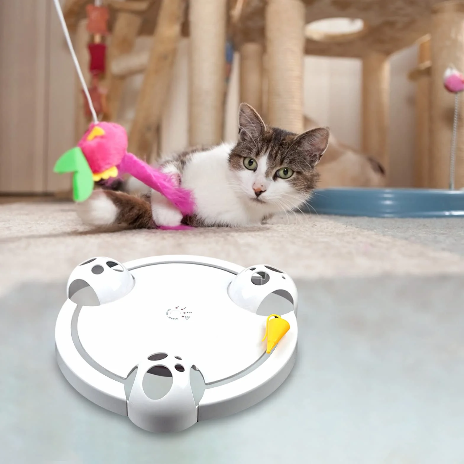 BUYTER Interaktywny gramofon dla kota Obrotowa zabawka Puzzle elektryczne Catch Mouse Play Plate
