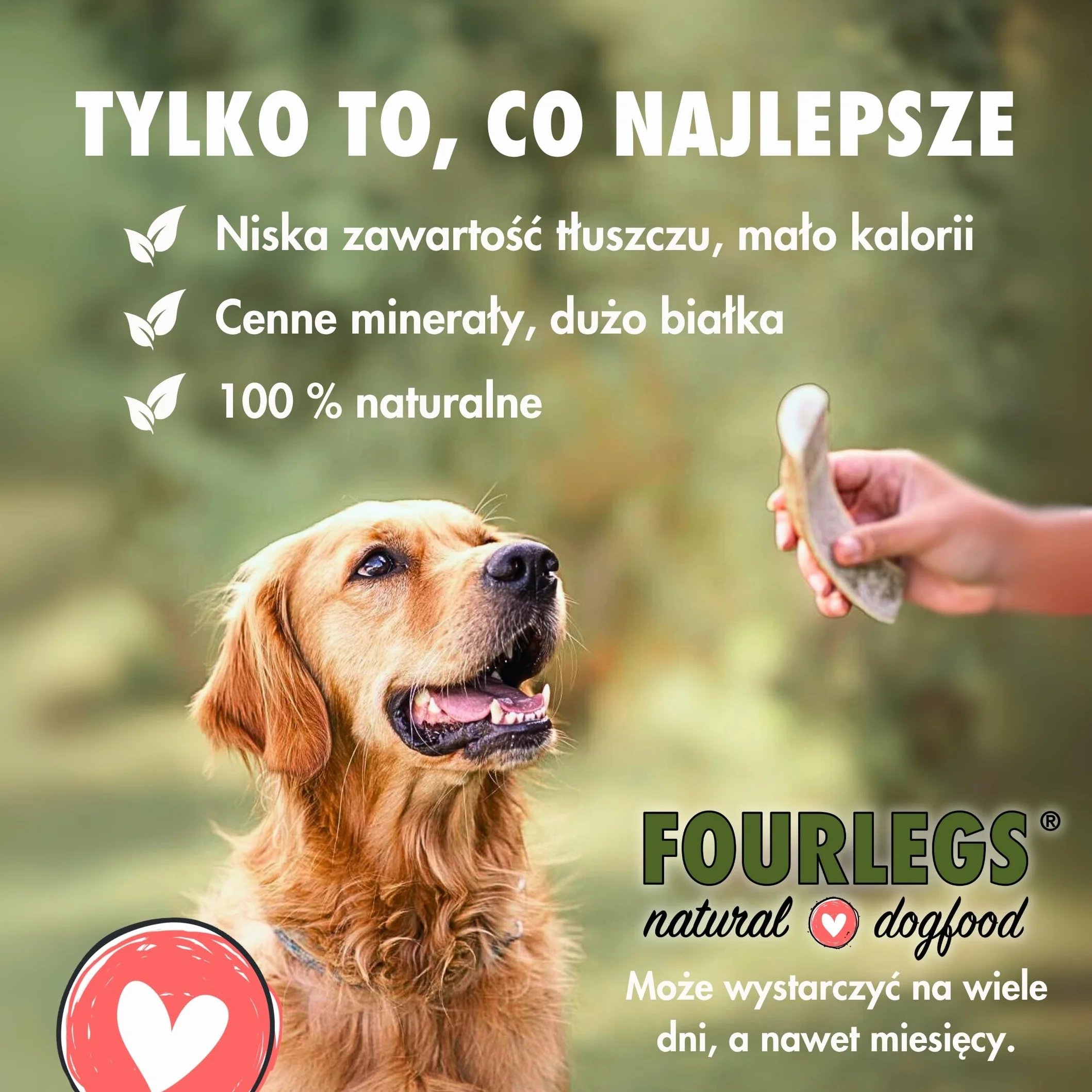 FOURLEGS® Przysmaki dla Psa, Poroże Jelenia 100% Naturalny Gryzak - Rozmiar M