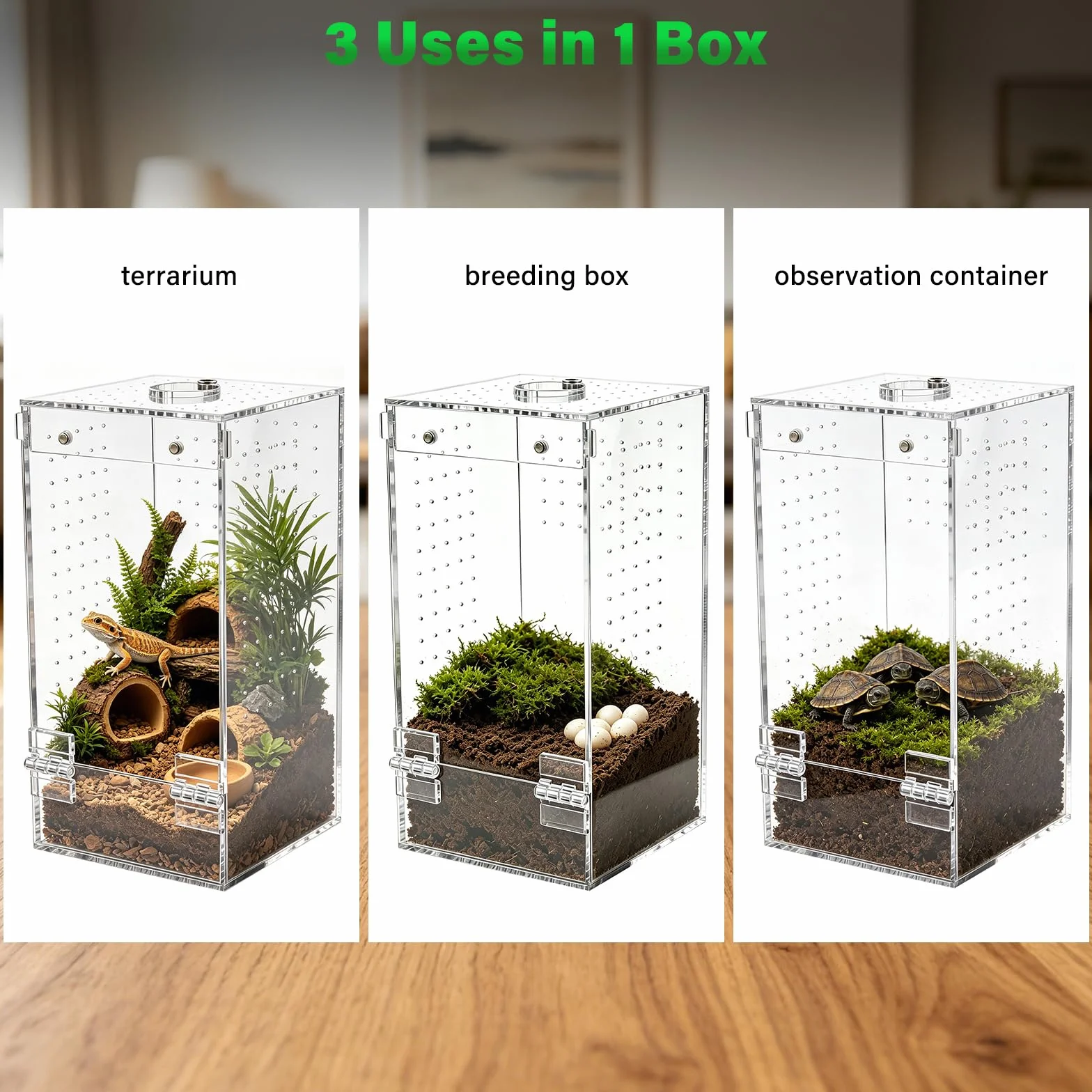 Homtone Akrylowe terrarium, terrarium owadów, terrarium ślimakowe z drzwiami magnetycznymi i otworem na karmę, odpowiednie dla pająków, ślimaków i owadów (10 x 10 x 20 cm)