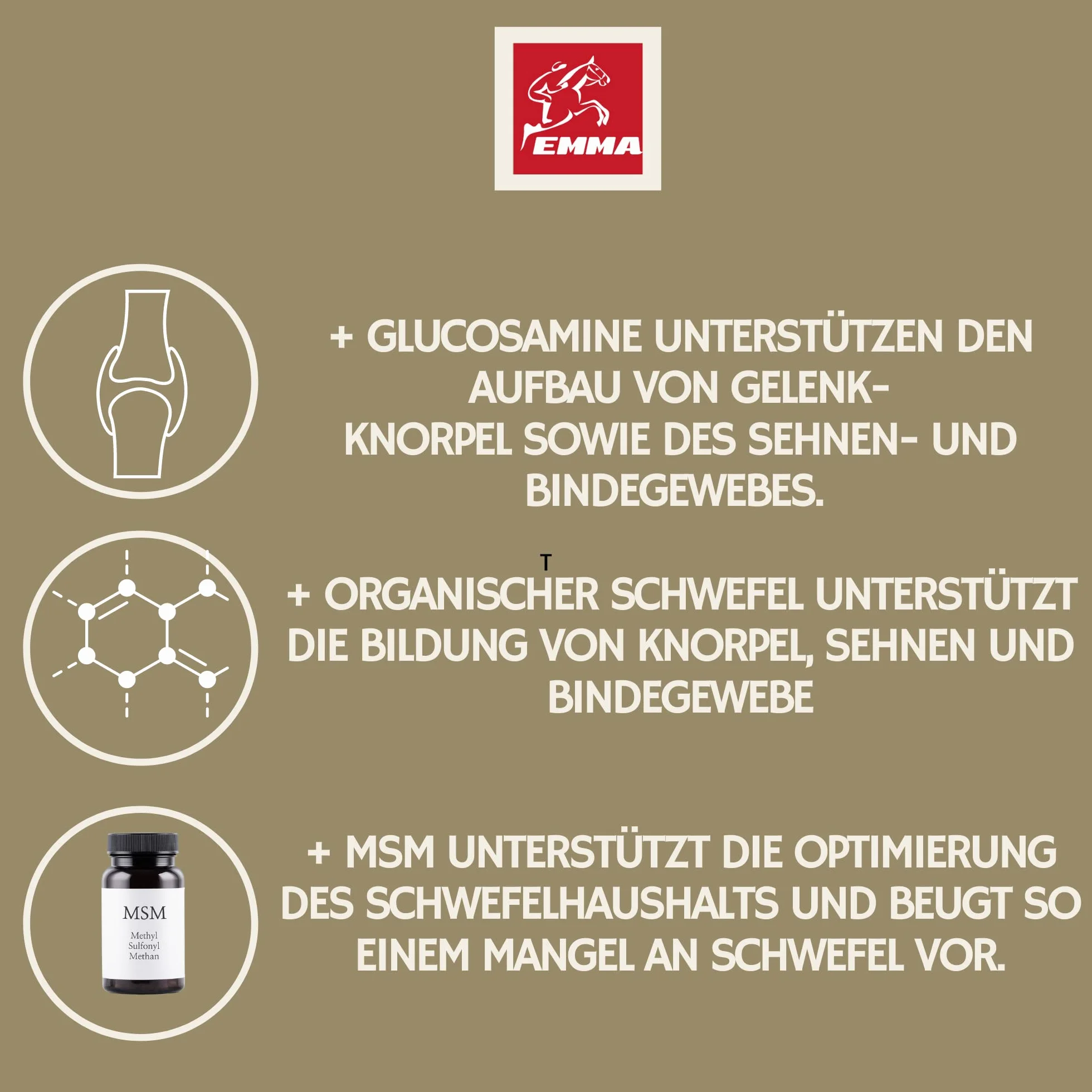 EMMA MSM płyn do stawów, 1 l, z MSM siarka, kolagen, glukozamina, chondroityna, wysoka dawka, dodatkowa karma wspomagająca wzmocnienie układu mięśniowo-szkieletowego, stawów, więzadeł, ścięgien,