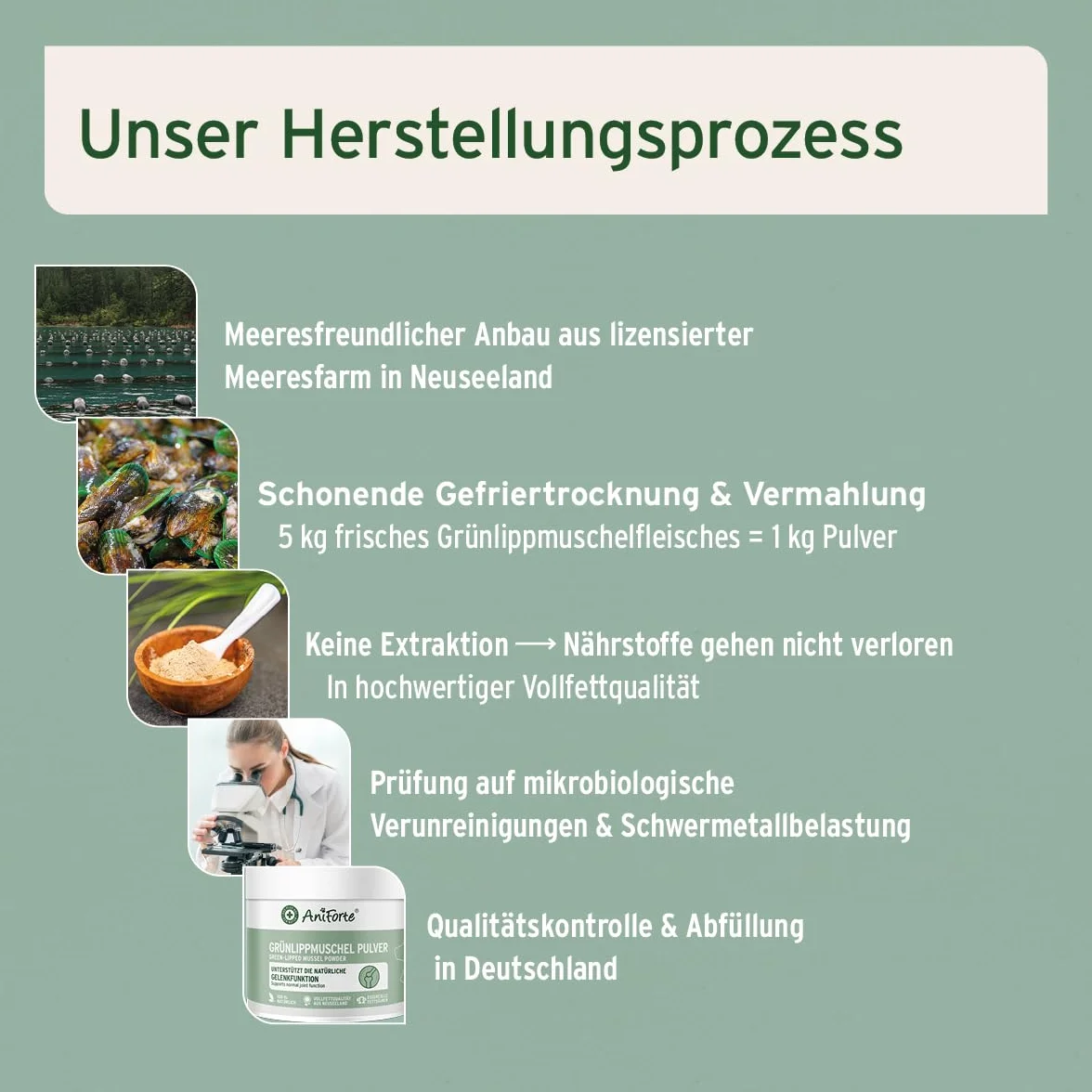 AniForte Proszek z Muszli Omule Zielonowargowego Pies 500g ZWYCIĘZCA PORÓWNANIA 2023 – Produkt Naturalny dla Stawów i Funkcji Stawów, Proszek z Muszli Omule Zielonowargowego Pies w Pełnotłustej