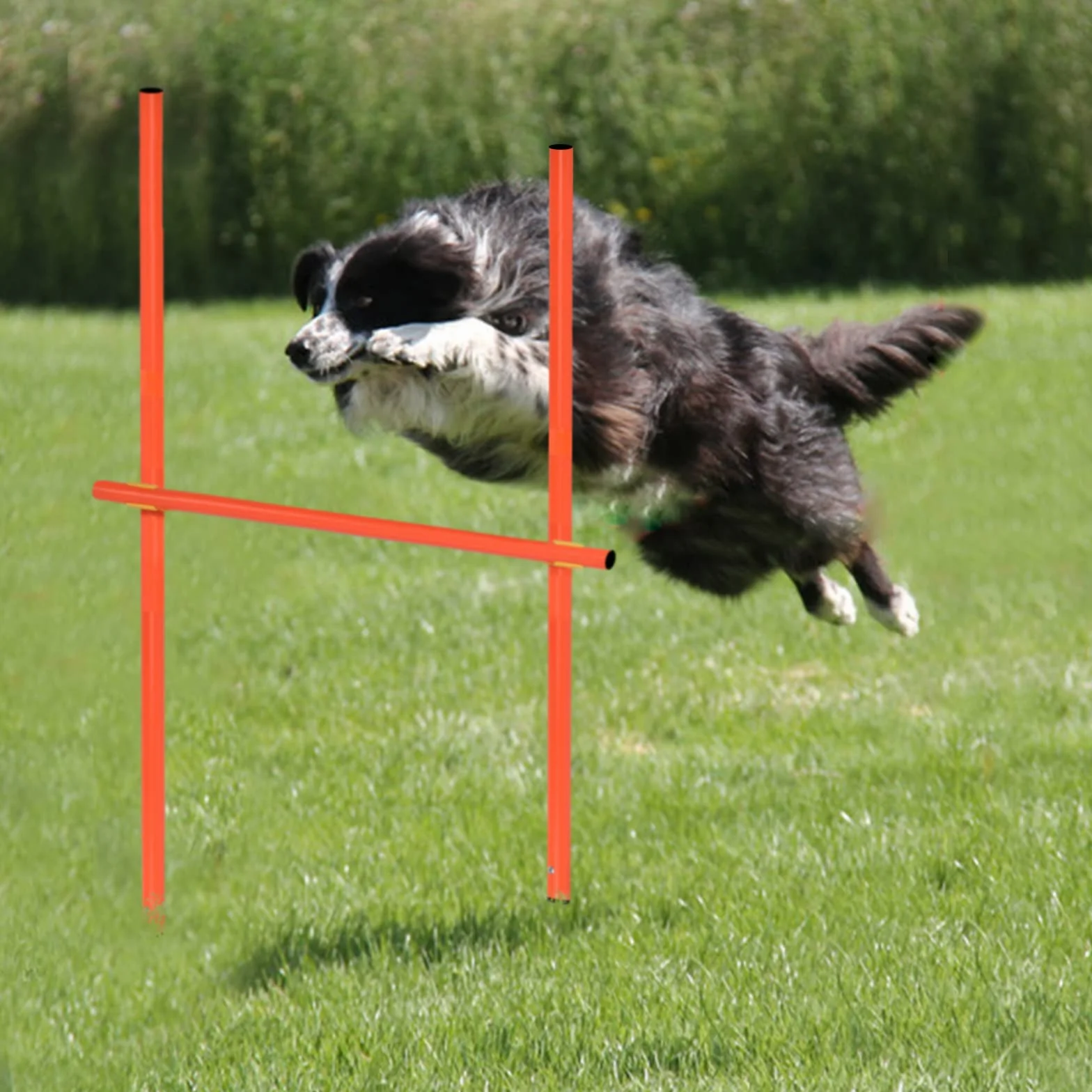 HENGMEI Agility zestaw treningowy dla psów z tunelem, regulowane przeszkody, pierścień do skakania