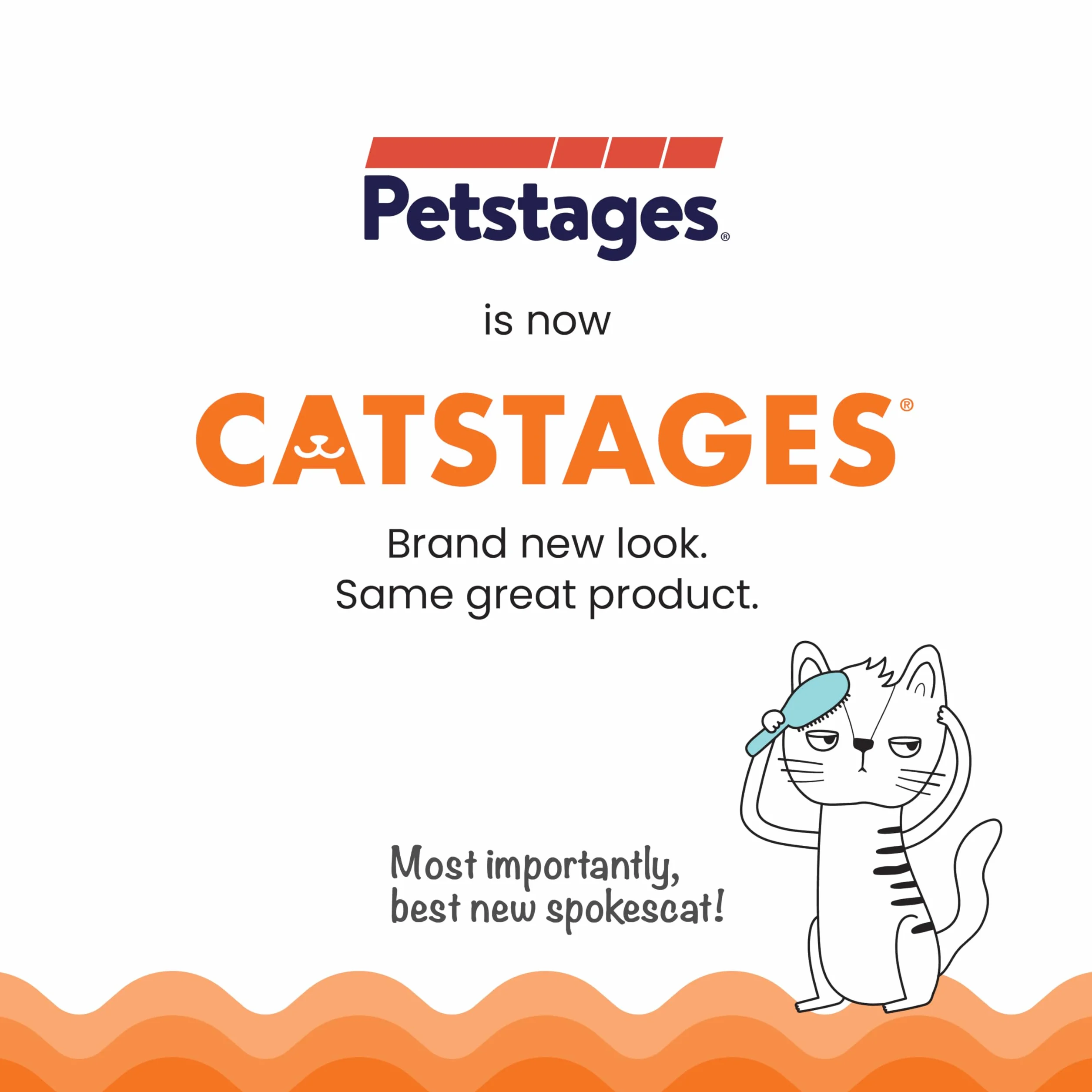 Petstages Crunchy Pickle Kicker Dental Catnip zabawka dla kota
