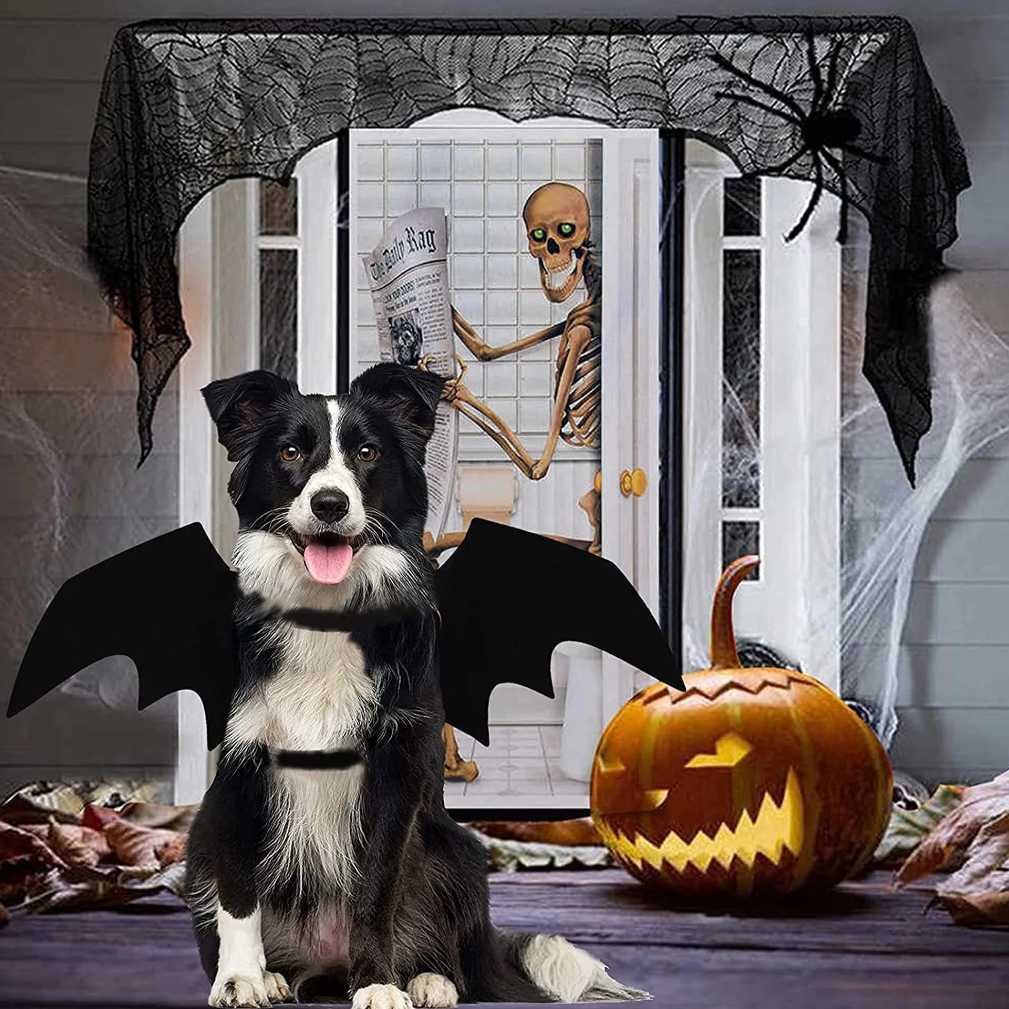 skrzydła psa, kostium nietoperza na Halloween, kostium dla zwierząt domowych, czarne skrzydła nietoperzy, kostium na Halloween, akcesoria dla psów, przebranie na imprezę śmieszne, fajna