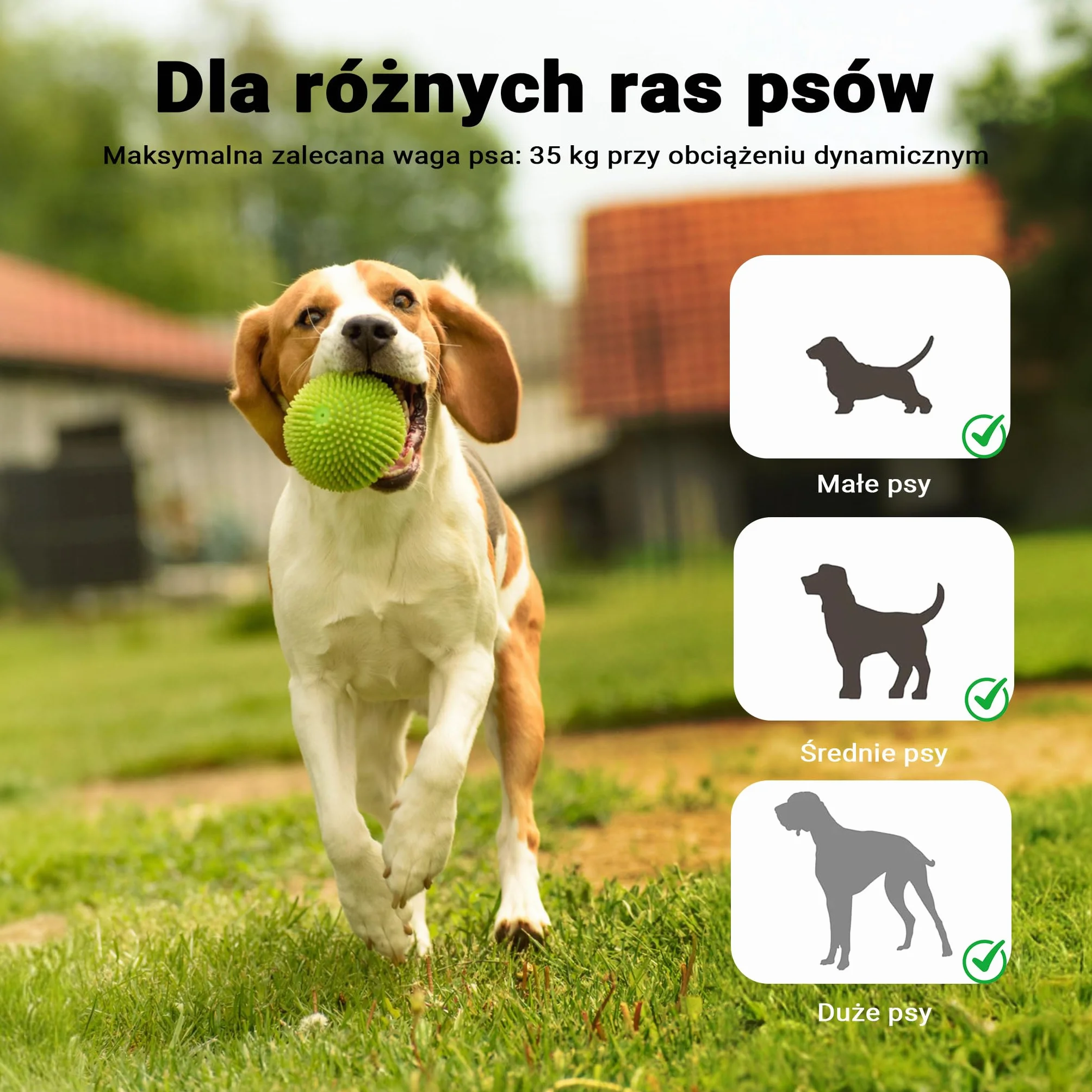 Wiltec Huśtawka agility dla psów 180x30x30cm drewniana do treningu zwinności do ogrodu i toru dla małych i dużych psów, sprzęt do zabawy i ćwiczeń