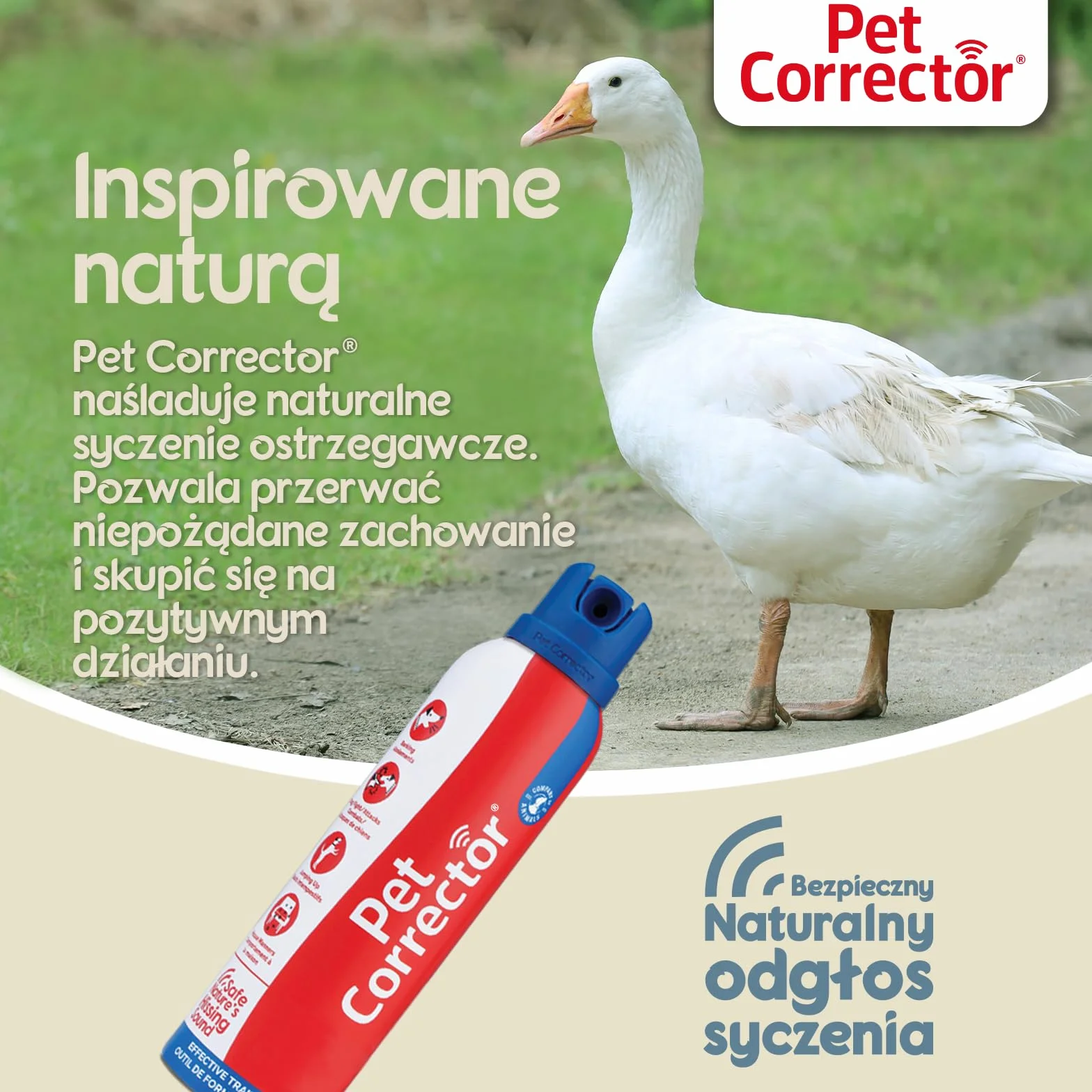 Pet Corrector do szkolenia psów. Pomaga kontrolować niepożądane zachowania: szczekanie, podskakiwanie, podkradanie jedzenia, wchodzenie na meble, walki i ataki. Humanitarny, bezpieczny, skuteczny.