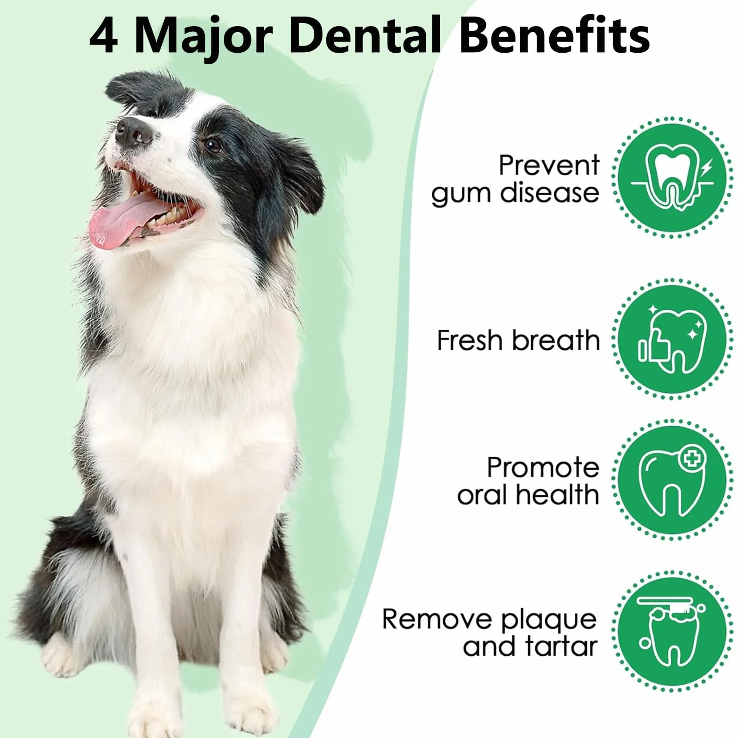Dog Dental Cleaning Powder 150 g, wysoce skuteczny w usuwaniu kamienia nazębnego i nieświeżego oddechu, hamujący powstawanie płytki nazębnej i odświeżający oddech, bezpieczny i skuteczny