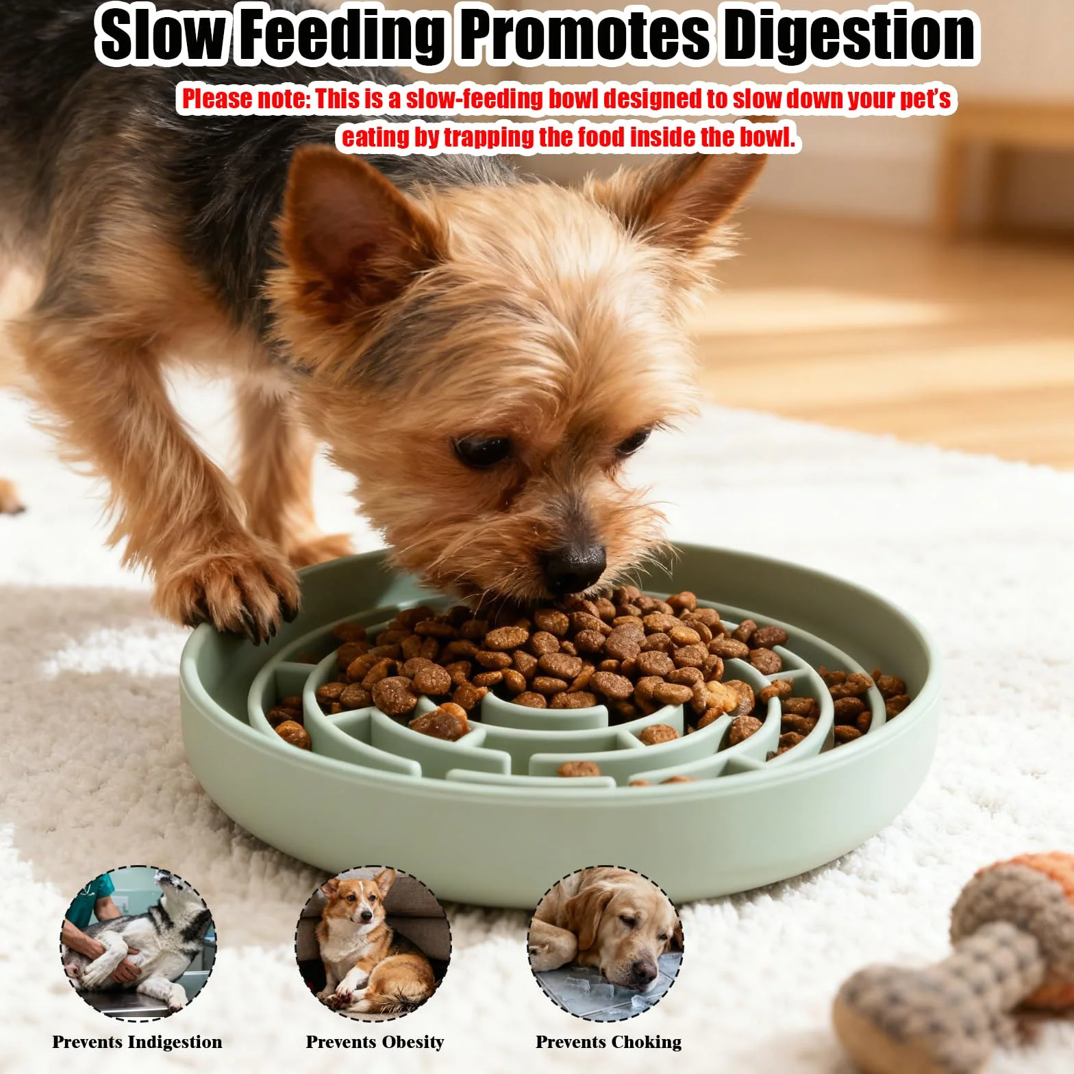 Slow Feeder