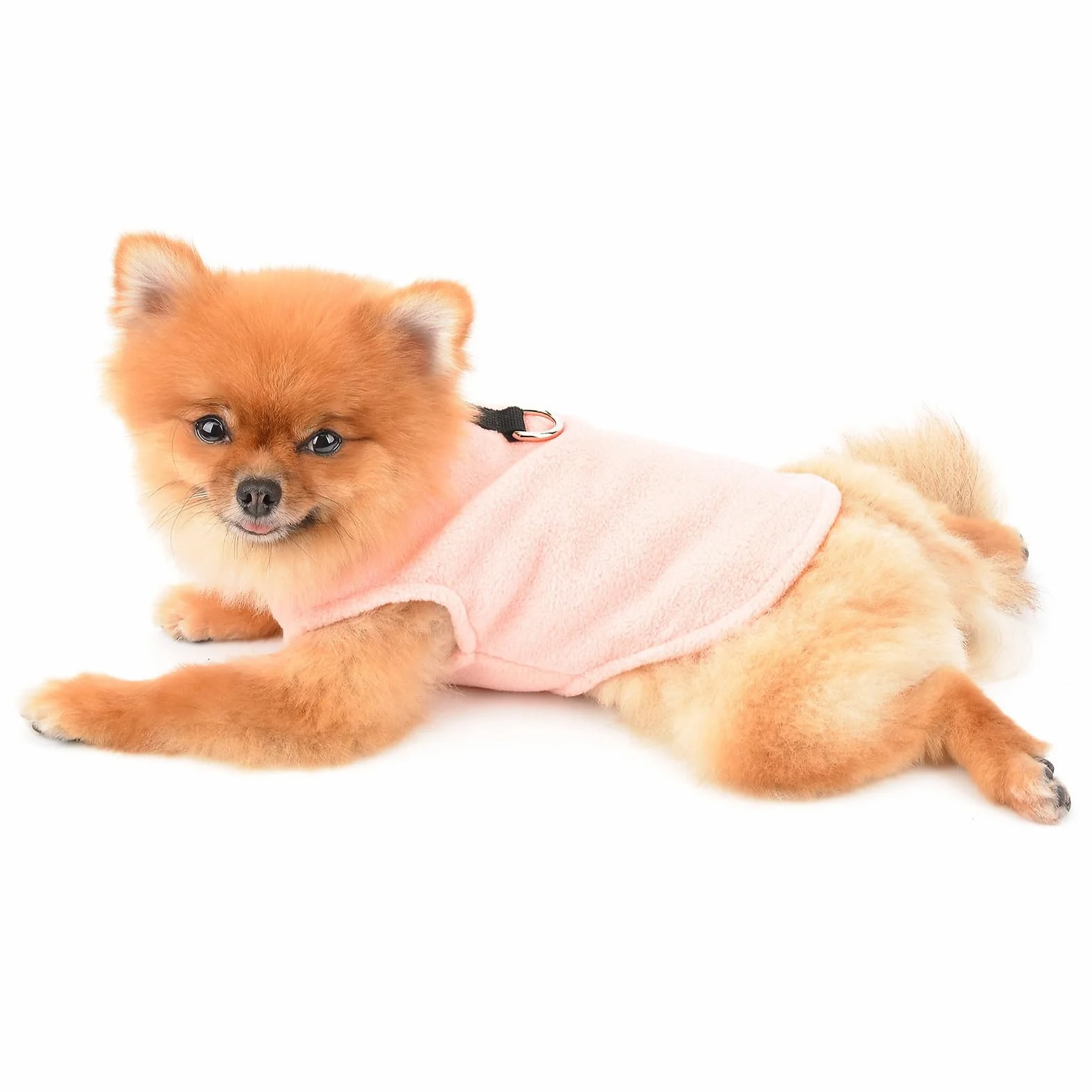 SMALLLEE_LUCKY_STORE Jednolity kolor szczeniak kamizelka polarowa sweter sweter ze smyczą pierścień dla małego psa kota chłopca dziewczyny yorkie chihuahua kotek ciepłe jesienne zimowe ubrania,