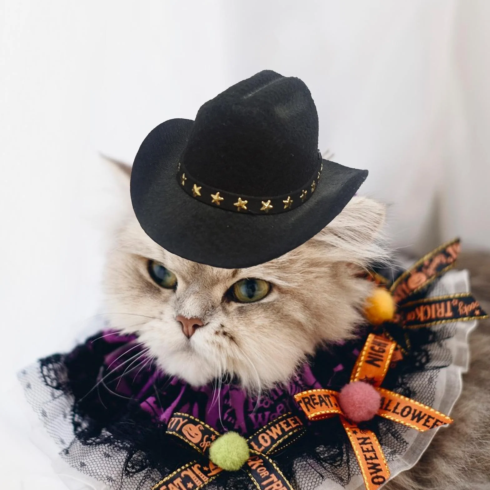 Kapelusz, kowbojski kapelusz, oddychaj?cy kowbojski kapelusz dla kotów - kostiumy Halloween dla szczeniaka, dekoracja imprez? dla zwierz?t
