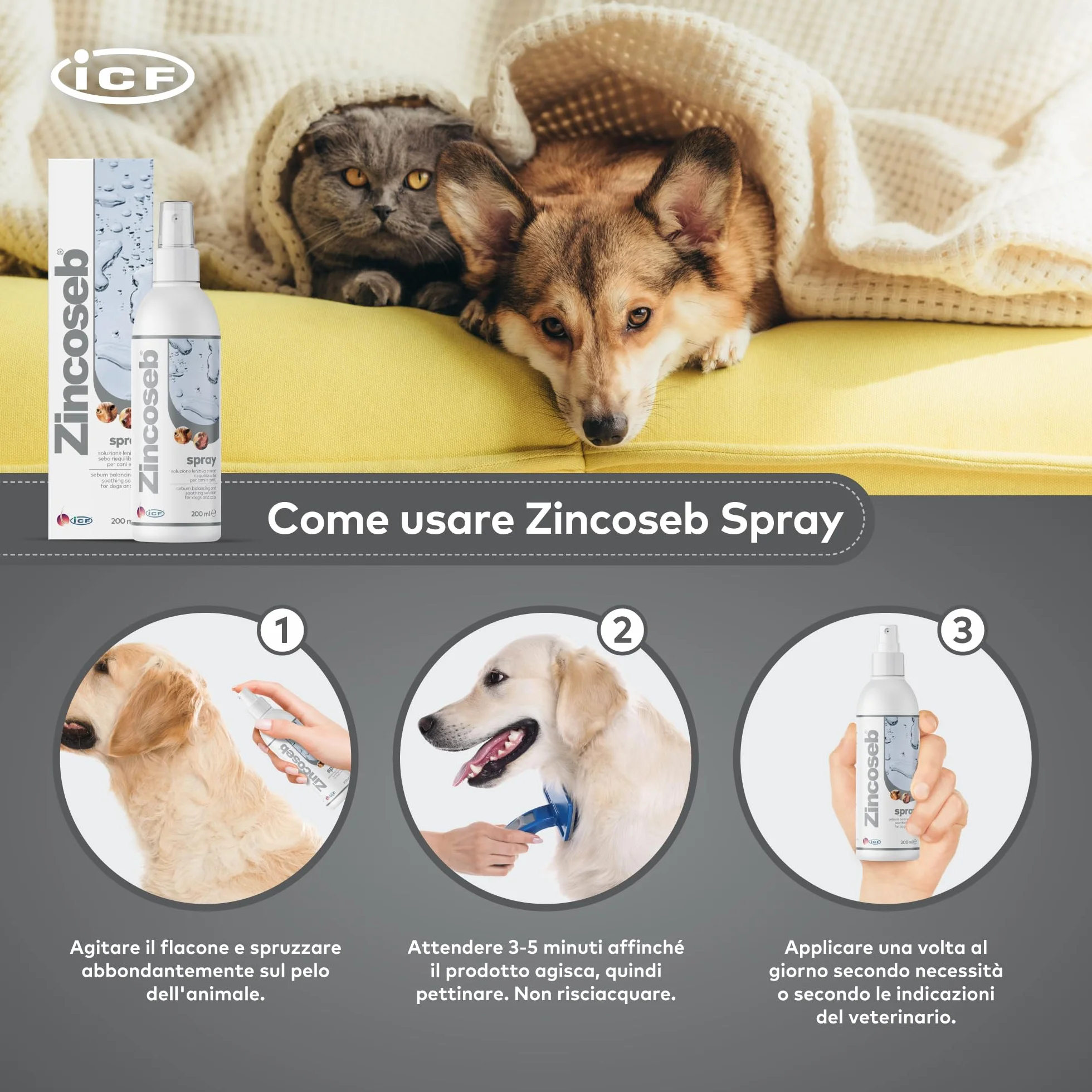 Geulincx Zincoseb Spray 200 ml ICF