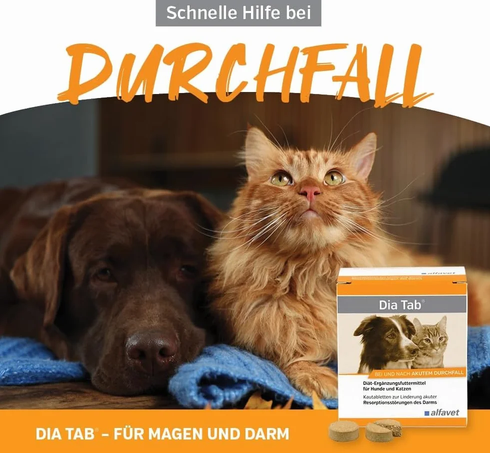 alfavet Dia Tab® Diät-Ergänzungsfuttermittel für Hunde und Katzen 20 Kautabletten à 5,5 g in Dose für Reiseapotheke