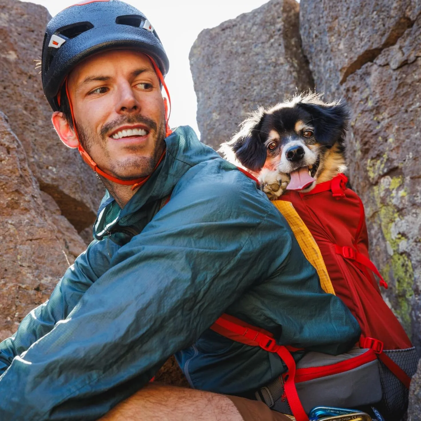 Ruffwear Hitch Hiker plecak dla psa torba do przenoszenia