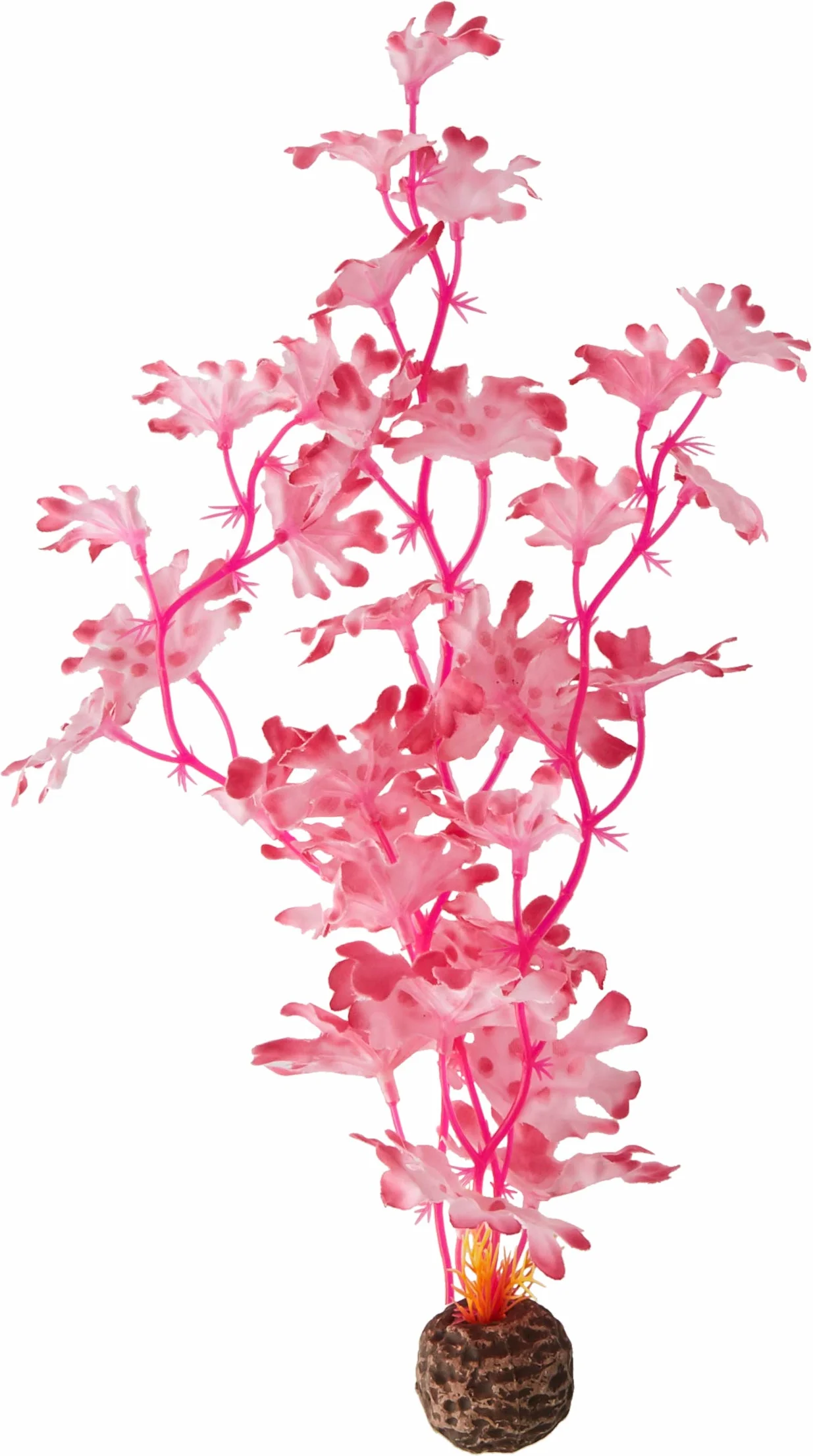 OASE biOrb Seetang zestaw średniej wielkości, fioletowy