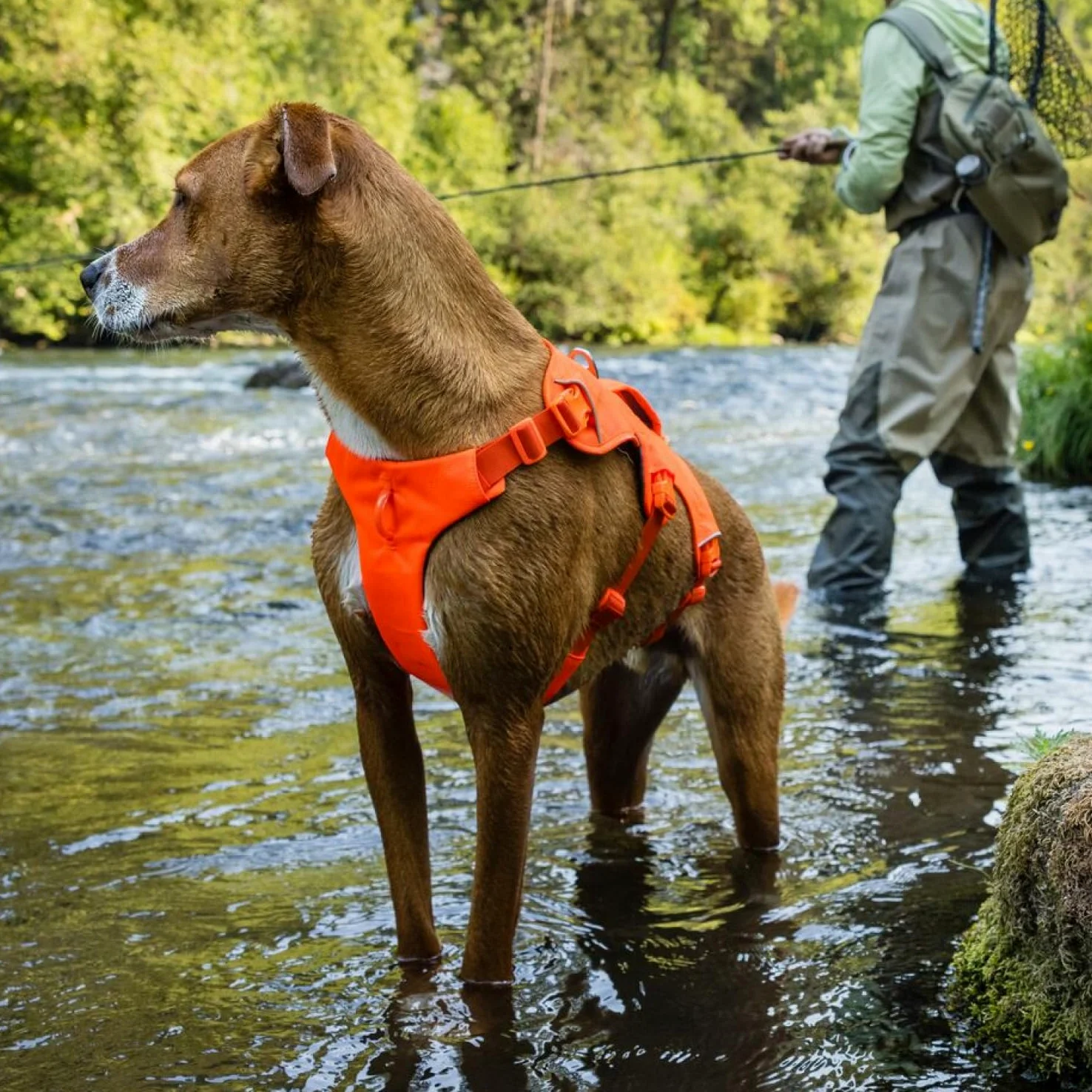 Ruffwear Web Master zastawa stołowa River Rock Green M