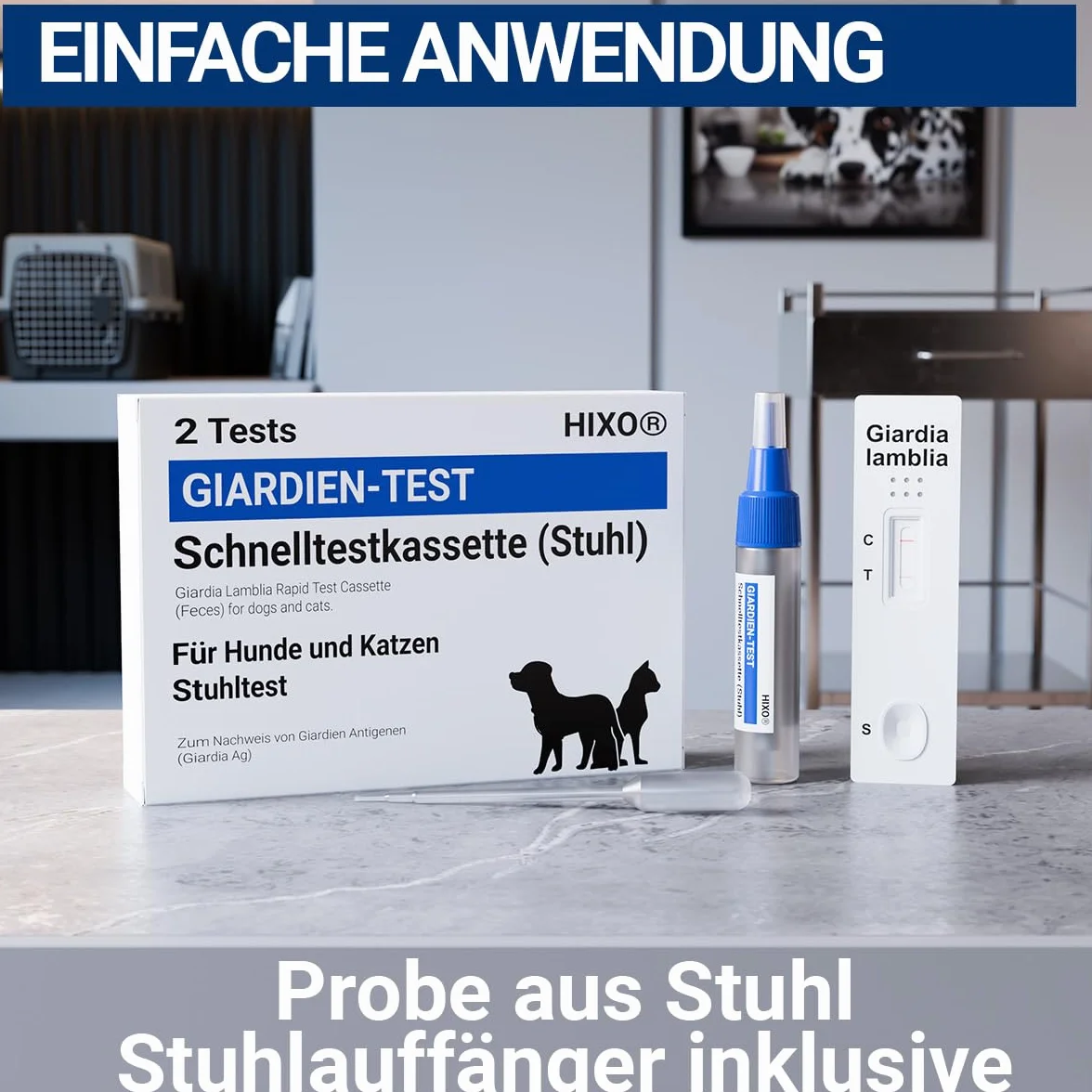 2X Test szybki na lamblie dla psów i kotów – niezawodny test na pasożyty jelitowe w przypadku biegunki i lambliozy – dla psów i kotów