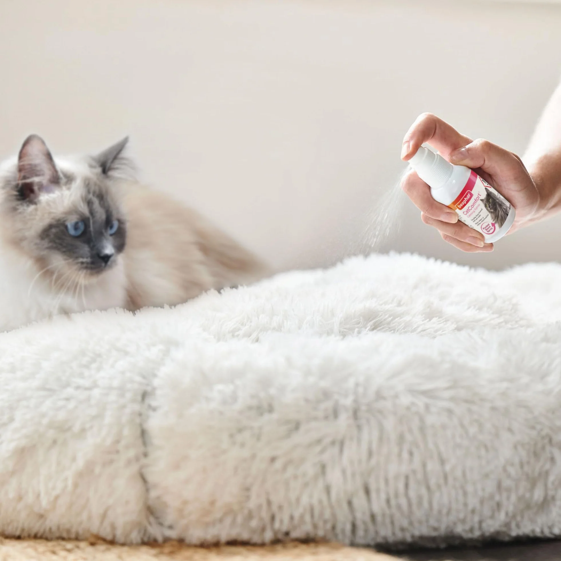 Beaphar CATCOMFORT feromonowy spray uspokajający dla kota 30 ml