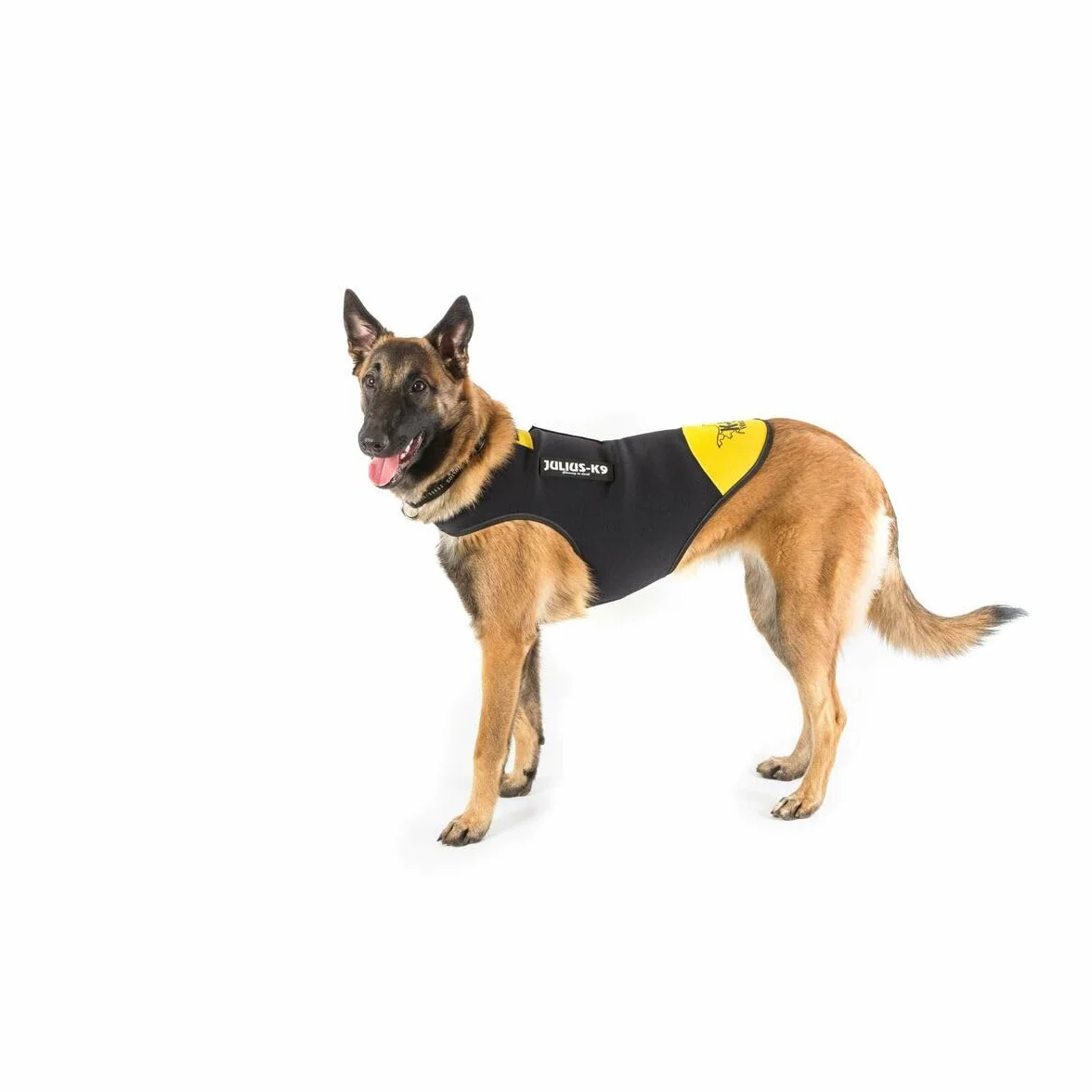 Julius-K9 IDC neoprenowa kurtka dla psa, rozmiar: XL, czarna i żółta