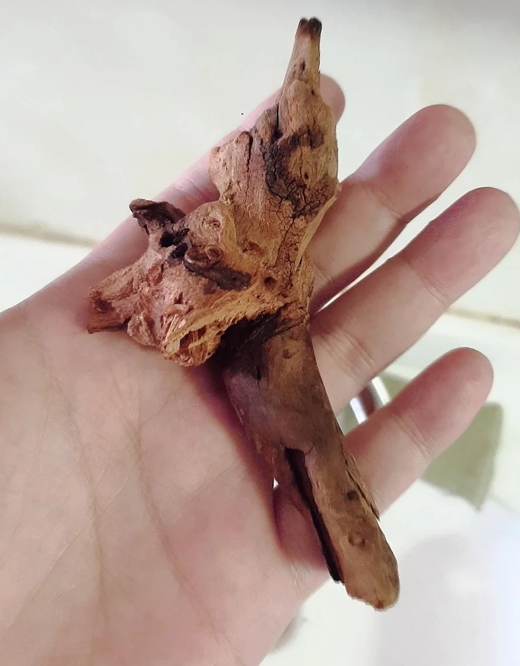 YZHZOM 4-częściowy zestaw małych naturalnych drewien drifujących do akwariów, 7,6-15 cm, starannie dobrane naturalne dekoracje do akwarium, drewno dryfujące do terrarium, terrarium, dekoracja z drewna