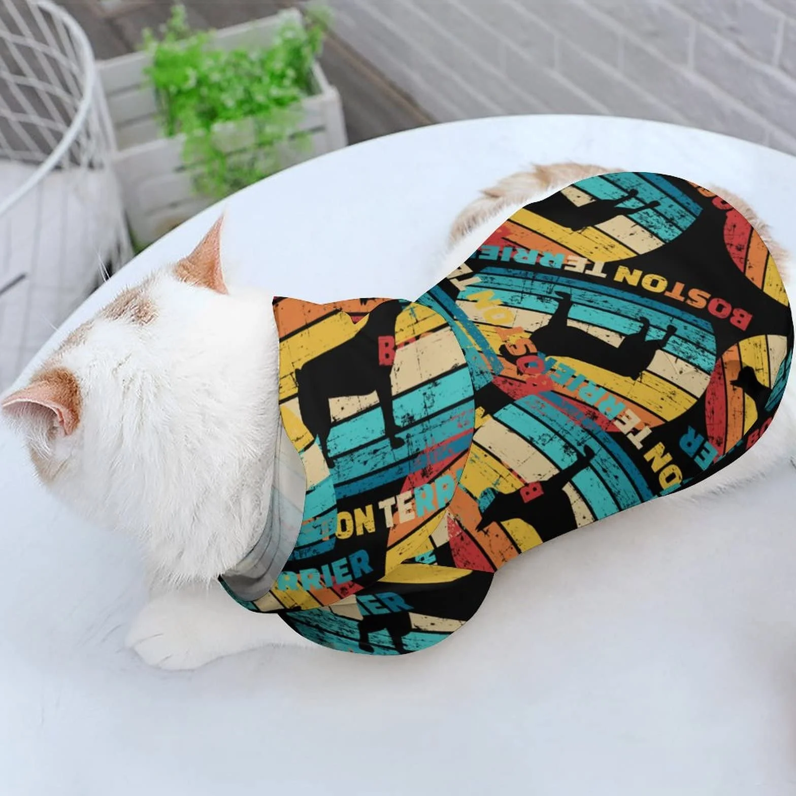 Vintage Boston Terrier sylwetka śmieszny pies bluza z kapturem szczeniak bluza piesek zimowe ubrania dla zwierząt domowych z kapturem kot płaszcz kurtki