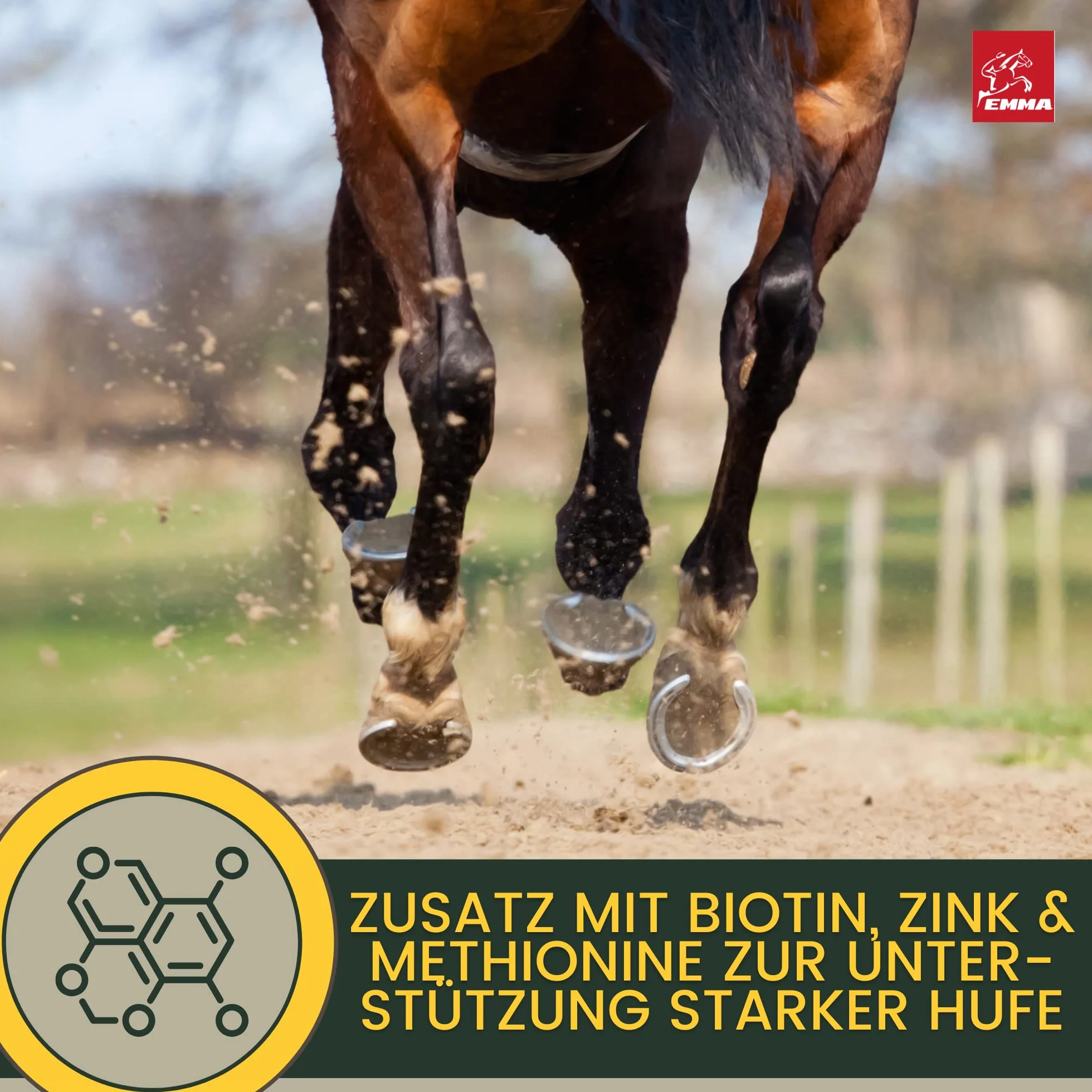 Biotin Plus cynk dla koni, 1 kg – wysoka dawka kuracja dla wzrostu kopyt i jakości kopyt – mineralna karma dla kopyt, sierść skóry – pomoc w przypadku wyprysku i niedoboru cynku – biotyna, cynk