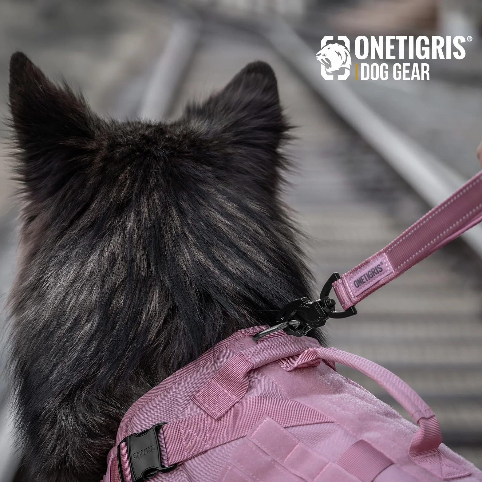 OneTigris Bolt Krótka Smycz dla Psa 30 cm z Metalowym Klipsem, Miękka Wyściółka, Odblaskowa Nylonowa, Odpowiednia dla Średnich i Dużych Psów - Różowa