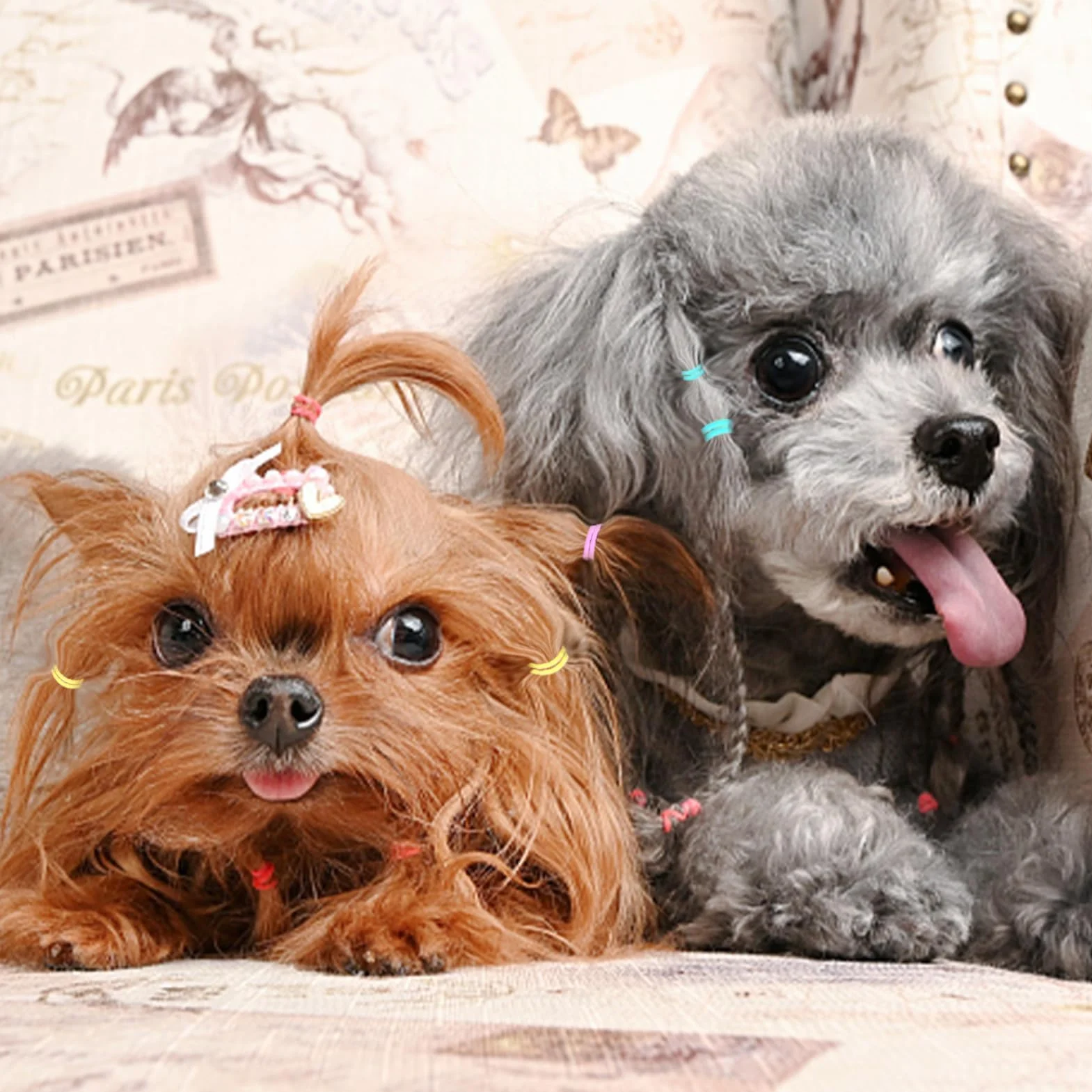10 paczek gumki dla psów, bardzo elastyczne Coloful mini gumki opaski do włosów dla psów DIY pielęgnacja psów akcesoria do włosów dla małych psów Yorkie Pudel Dog