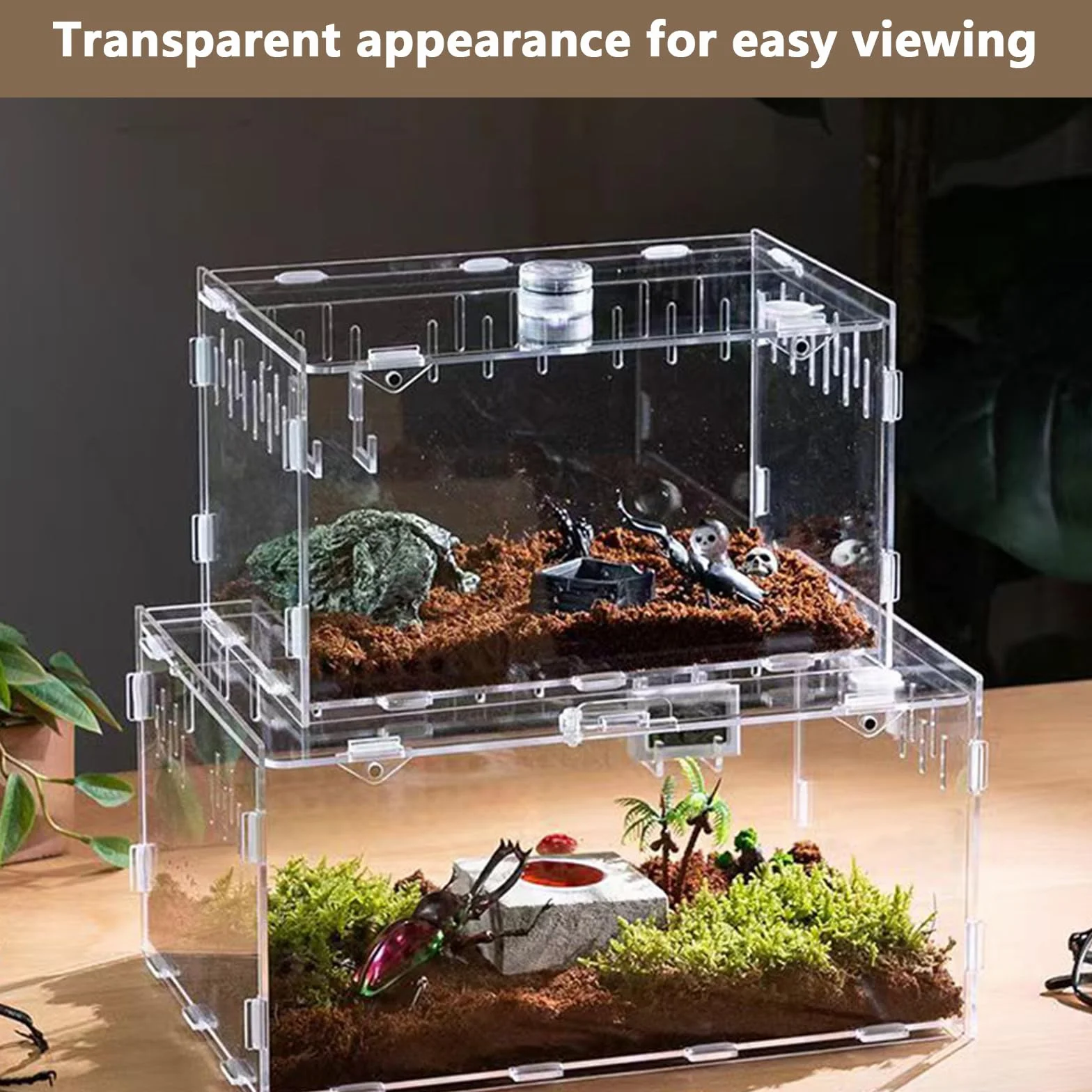 Przezroczyste akrylowe terrarium dla gadów i owadów – obudowa dla pająków, jaszczurek, żab, chrząszczy i innych owadów