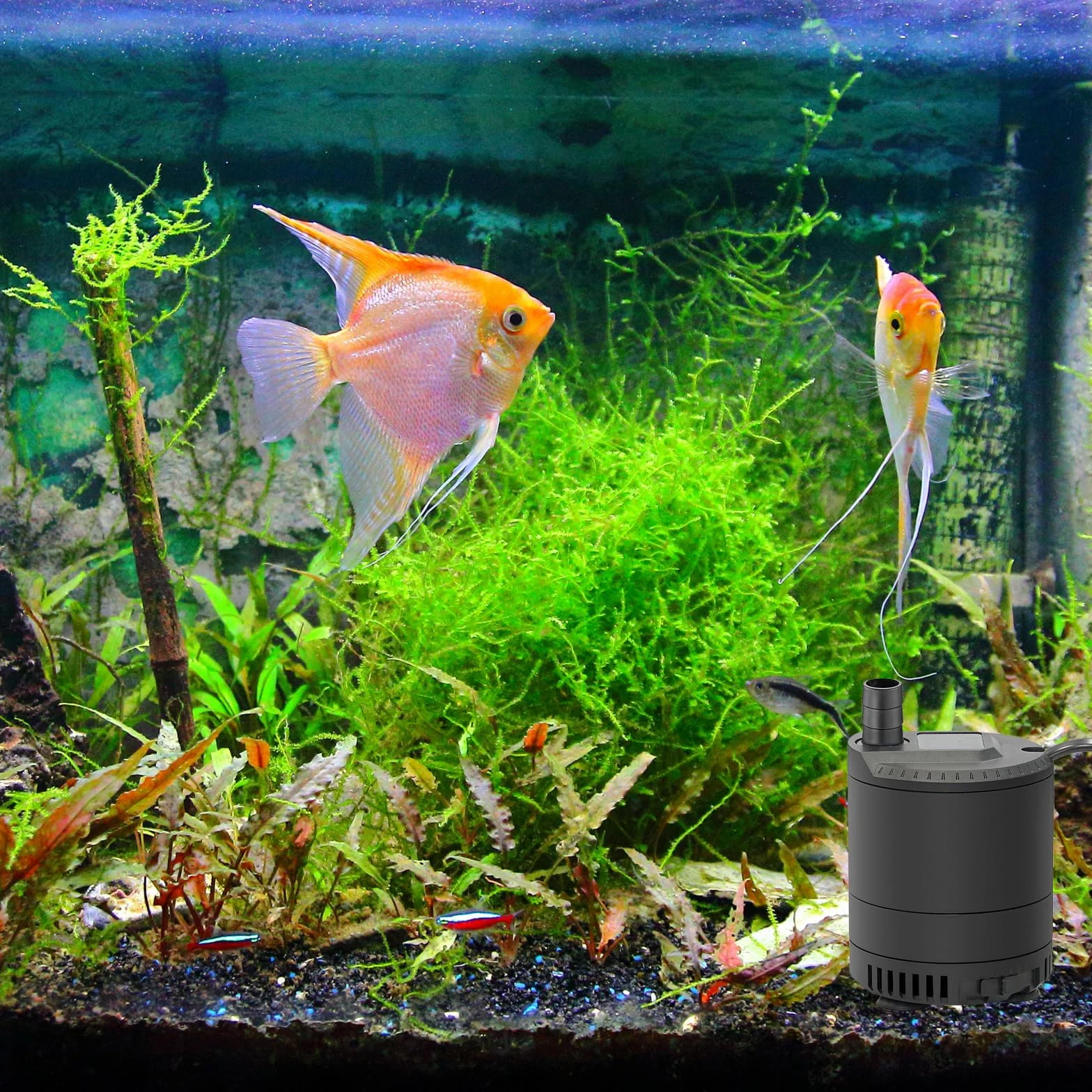 Pompa do oczka wodnego do użytku na zewnątrz, 20 W, 1500 l/h, bardzo cicha pompa fontannowa z regulowaną ilością tłoczenia, mini pompa wodna do stawu ogrodowego, akwarium, wodospadu, fontanny