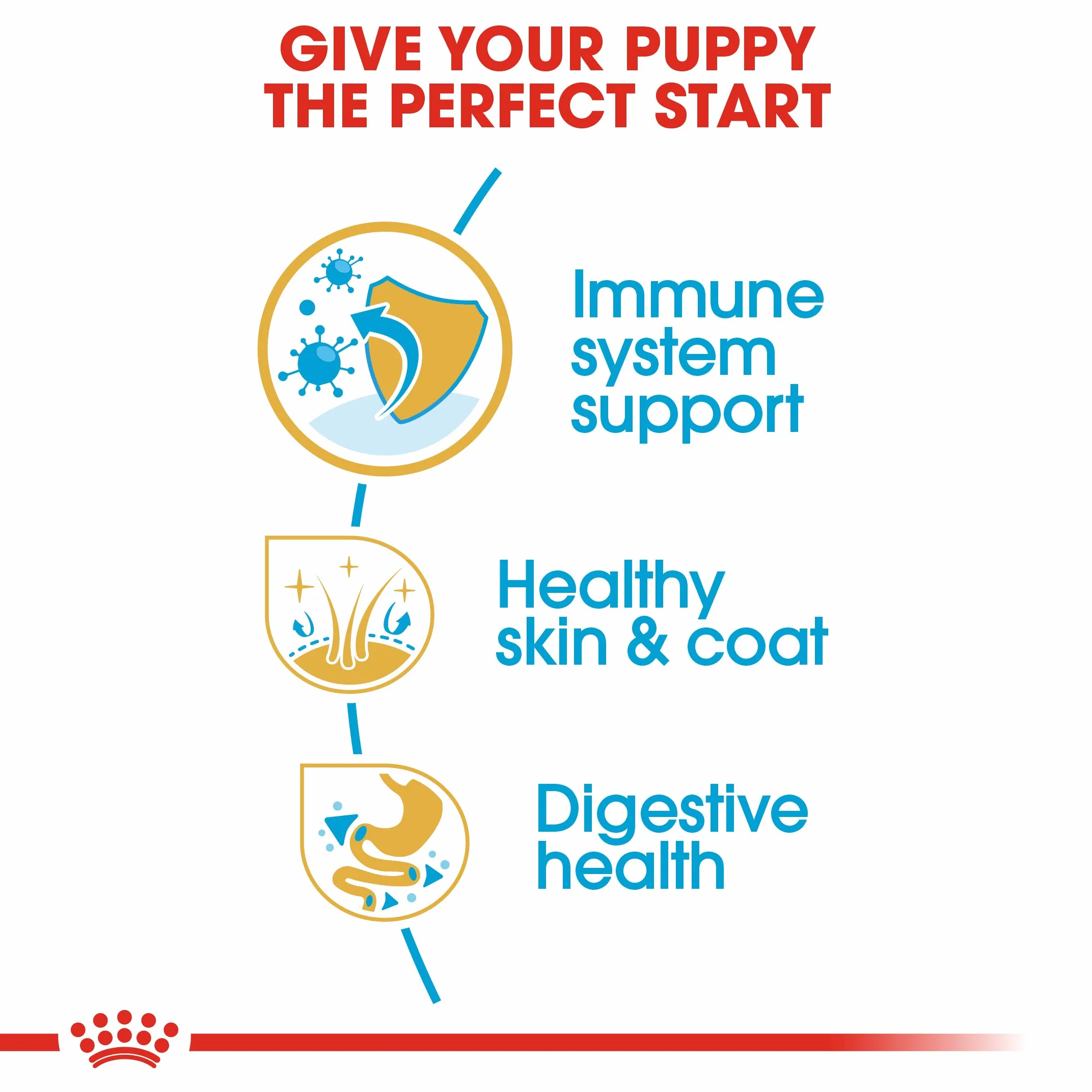 Royal Canin Golden Retriever Junior 12 kg