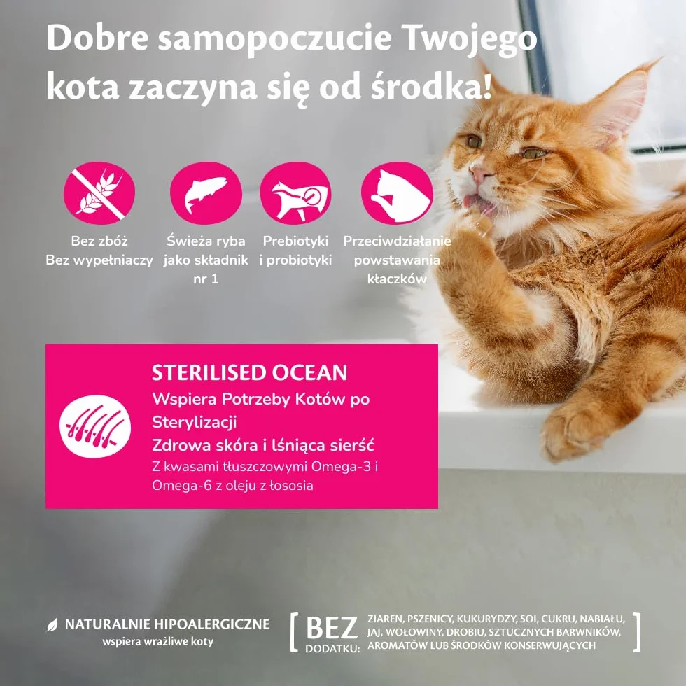 Wellness CORE Sterilised Ocean 1.75 kg Łosoś Sucha Karma dla Kotów Sterylizowanych Bezzbożowa