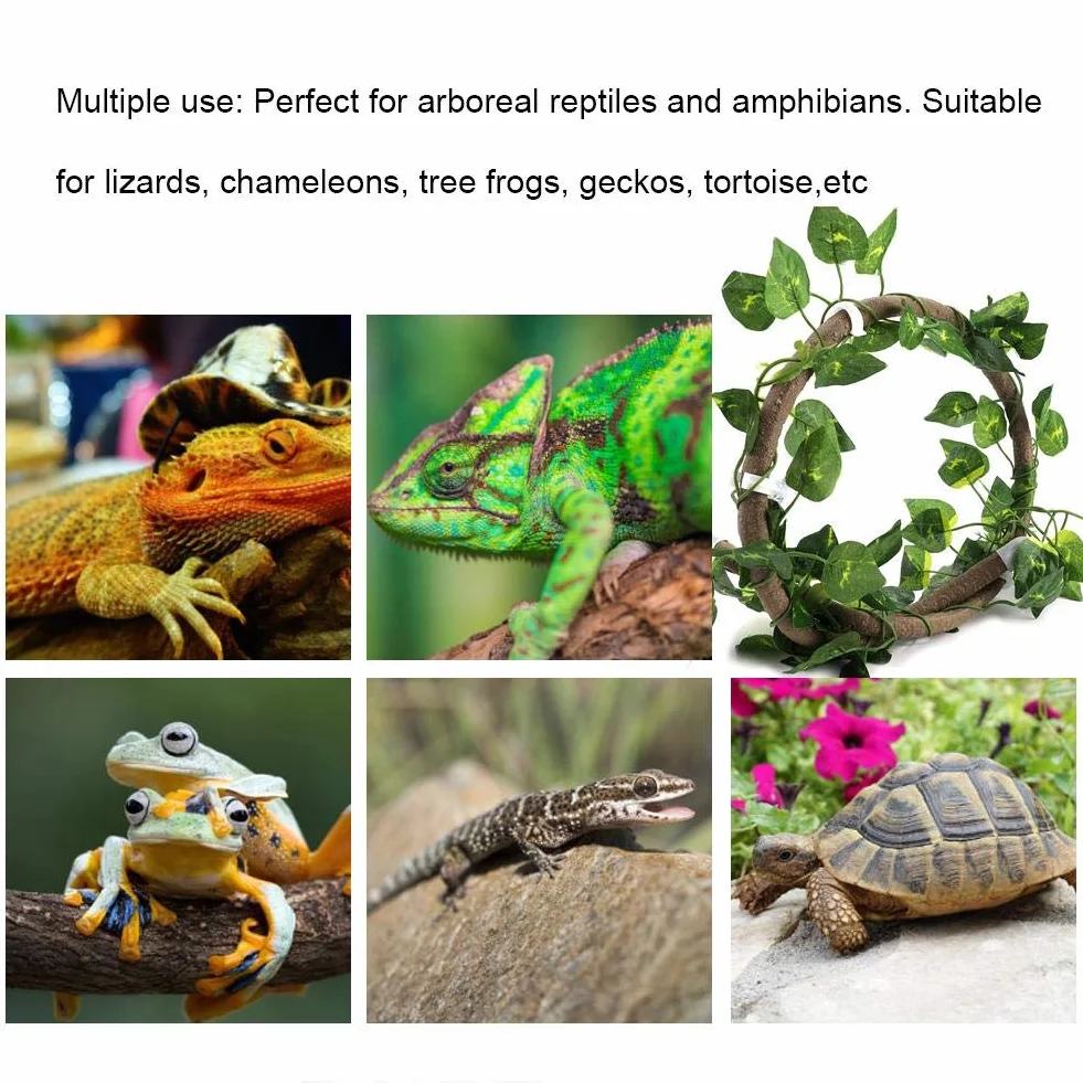 Sztuczna Pnącza dla Gadów z Przyssawkami, 100cm Rattan + 210cm Winorośl, Dekoracja Terrarium dla Kameleona i Gekona