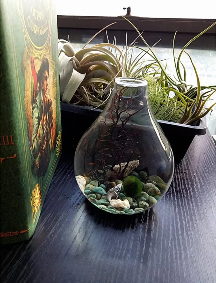 Ecosides Marimo mech piłka terrarium, zestaw do akwarium ze szkła łezki terrarium Zen terrarium moos Ball akwarium DIY terrarium pojemnik (biały)