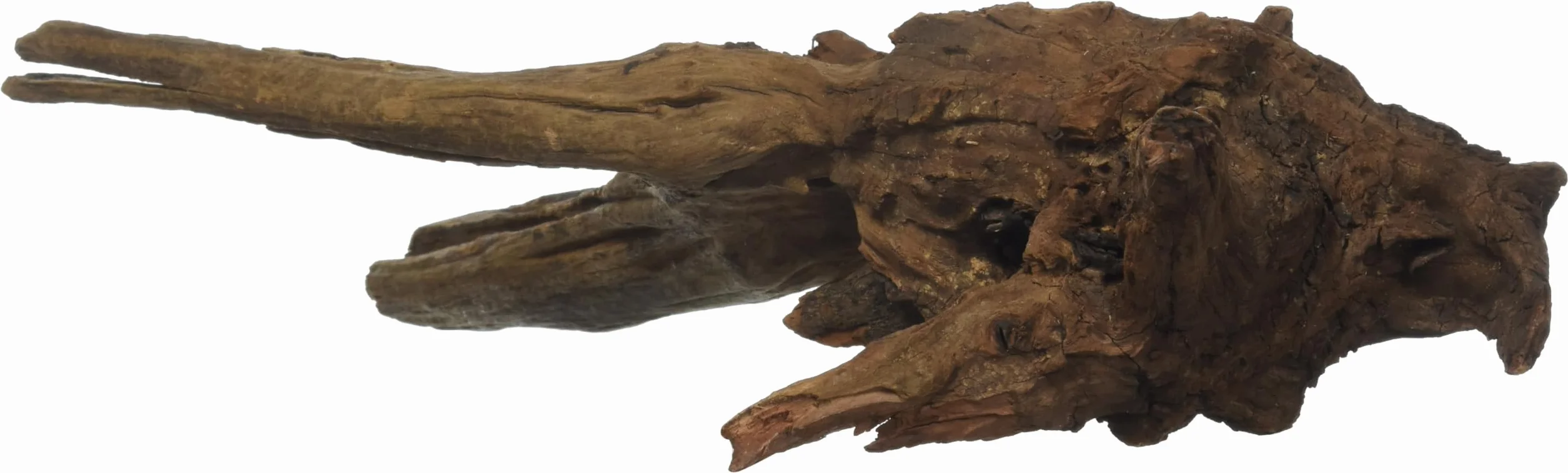 Amtra Mystic Wood, 30-40 cm