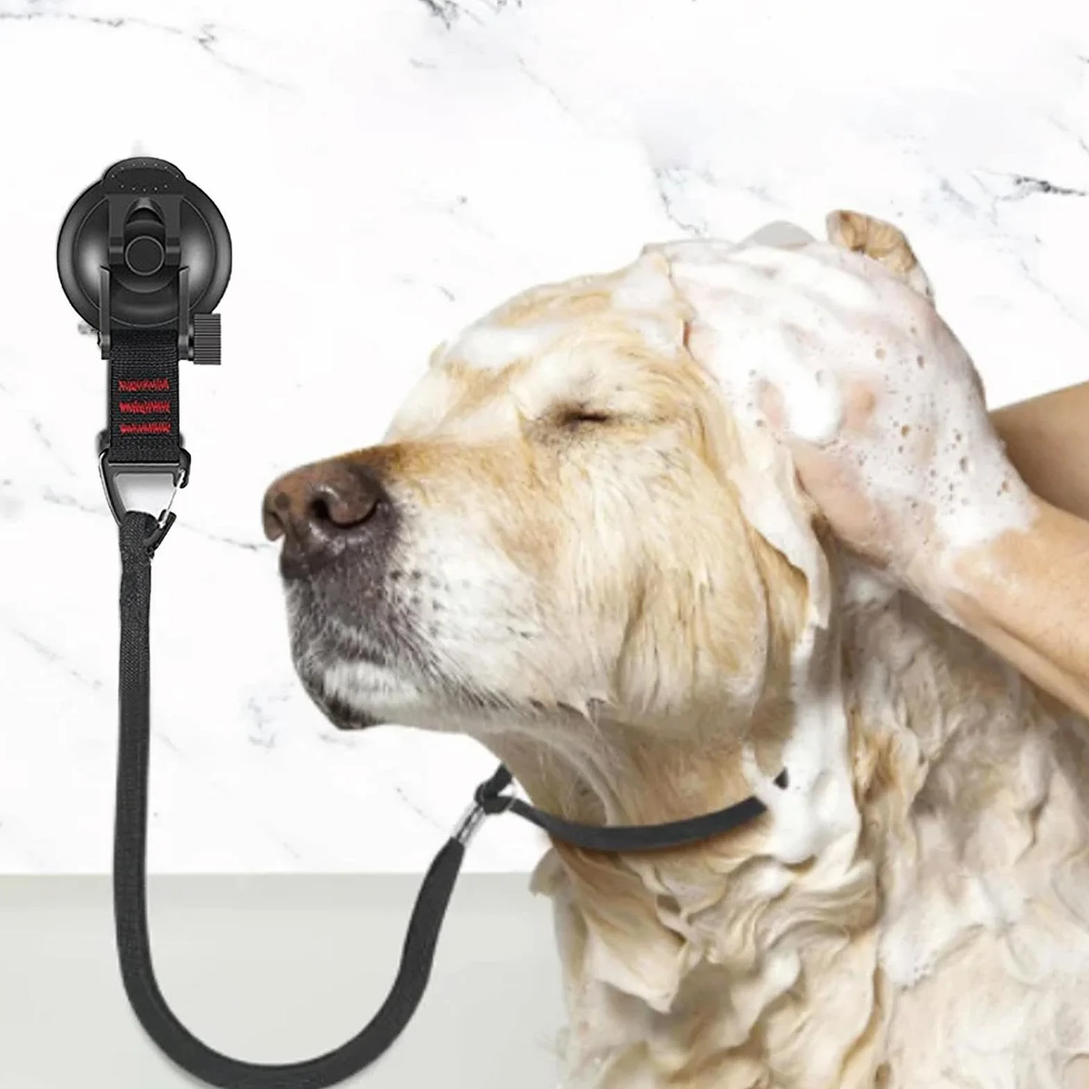 Pies Bathing Tether, Suction Cup Restraint, Grooming Safety Strap, regulowany design bez poślizgu, dla małych średnich psów, lalek, kąpieli, pod prysznic, pielęgnacja domu, kontrola czyszczenia
