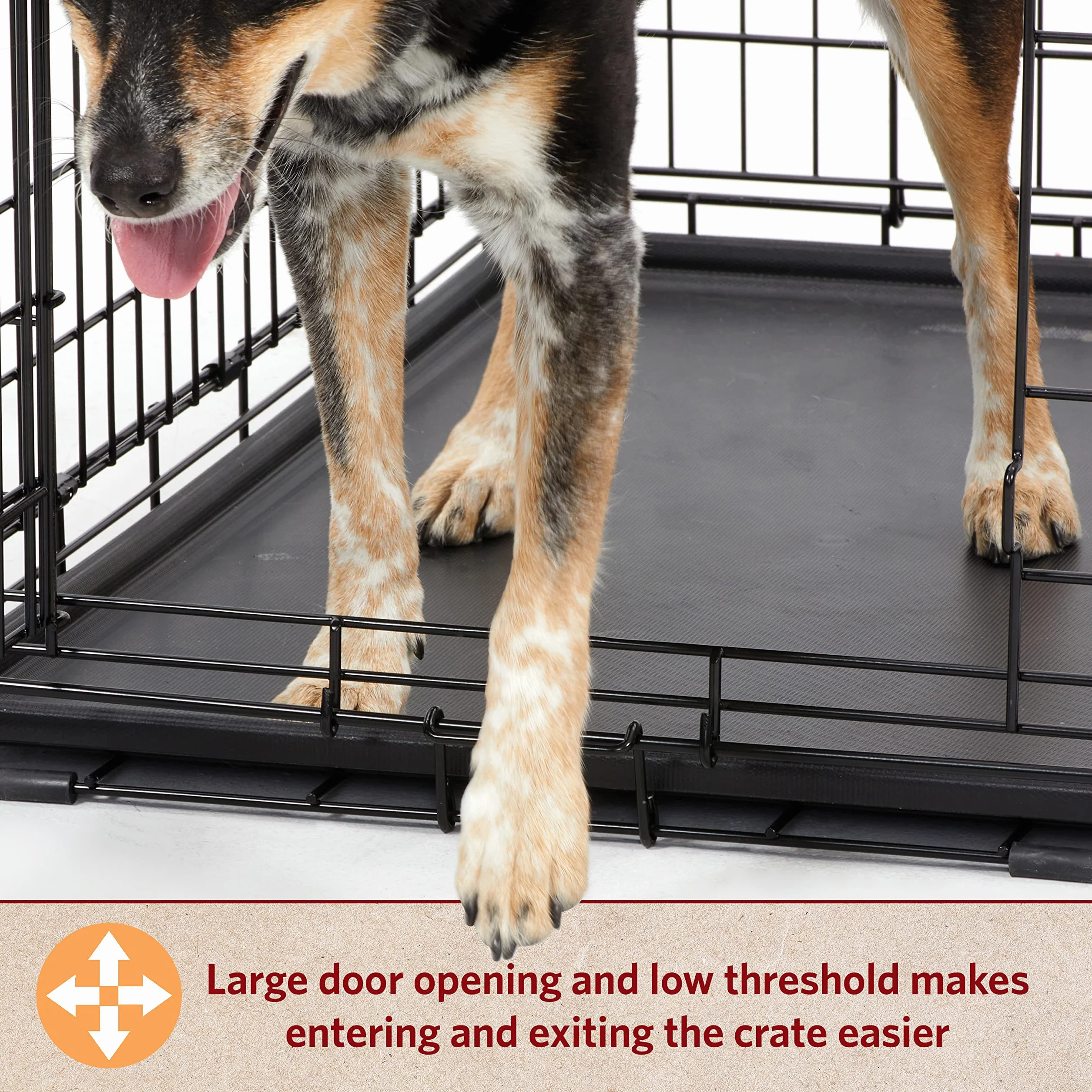 MidWest Homes for Pets XS LifeStages Double Door 22-Inch Folding Dog Crate, Enhanced Security, Includes Leak-Proof Pan, Divider Panel, Handle, Rubber Feet