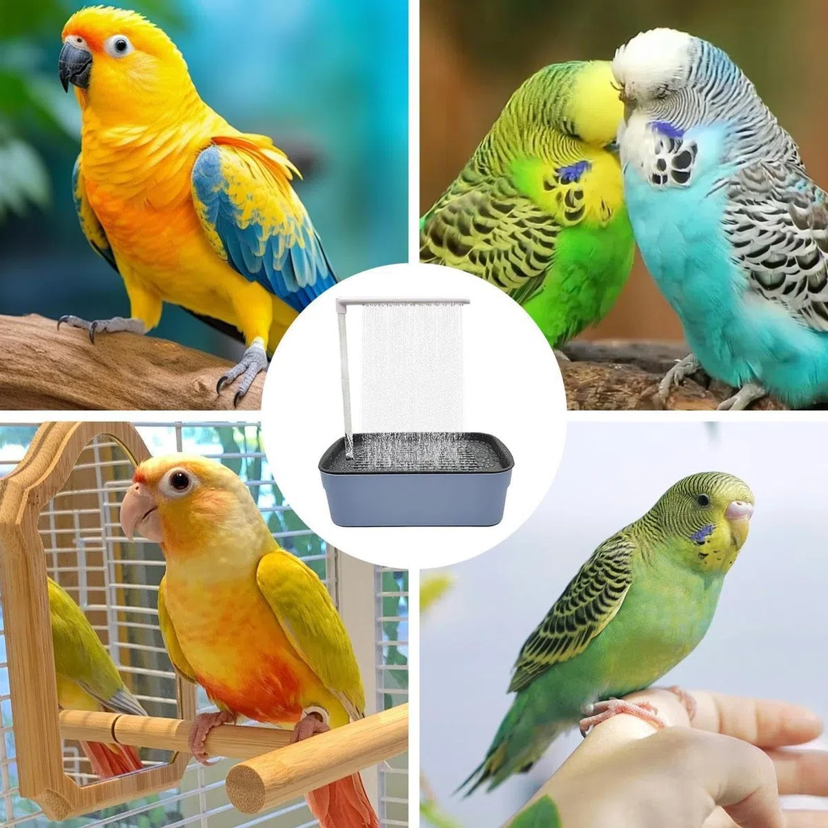 Automatyczna wanna ptaków, Parrot Automatyczna wanna Walka z prysznicem | Parakeet Pet Pool Bay Bathing Box Cicha dla rodzin, miłośnicy