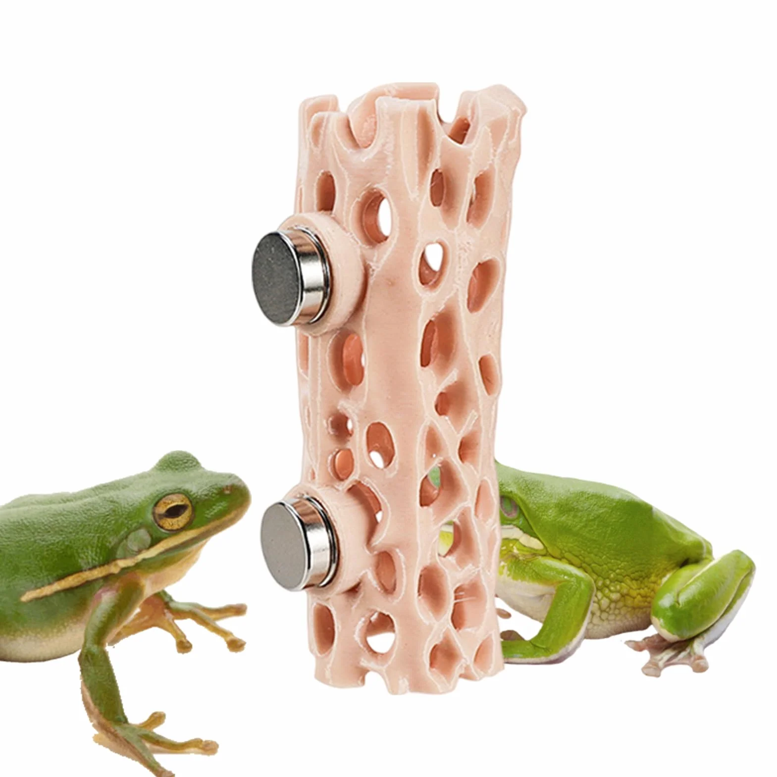Spider Shelter - Magnetic Reptile Hiding Place | 3D Printed Gecko Cave, Sturdy Habitat for Jumping Spider, Climbing Pet Frog, Amphibian Enclosure, Safe and Easy-to-Attach Terrarium Accessory