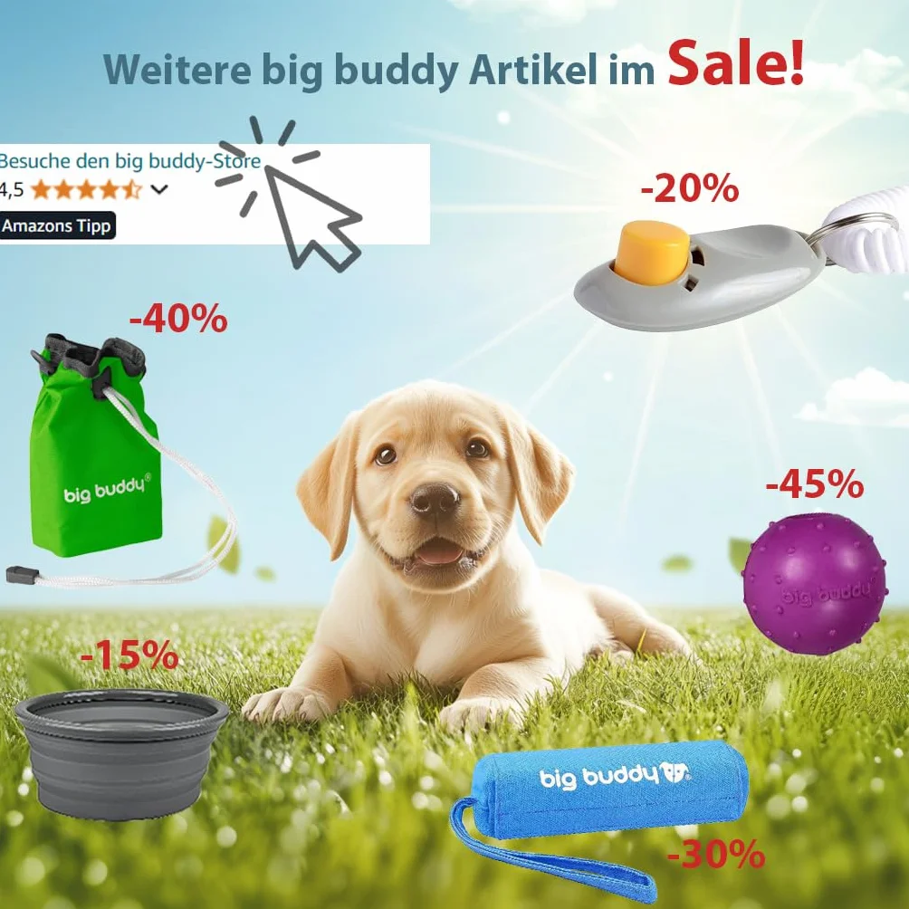 big buddy® Profesjonalny clicker z elastycznym paskiem na rękę | clicker dla psów, kotów i koni, trening psów