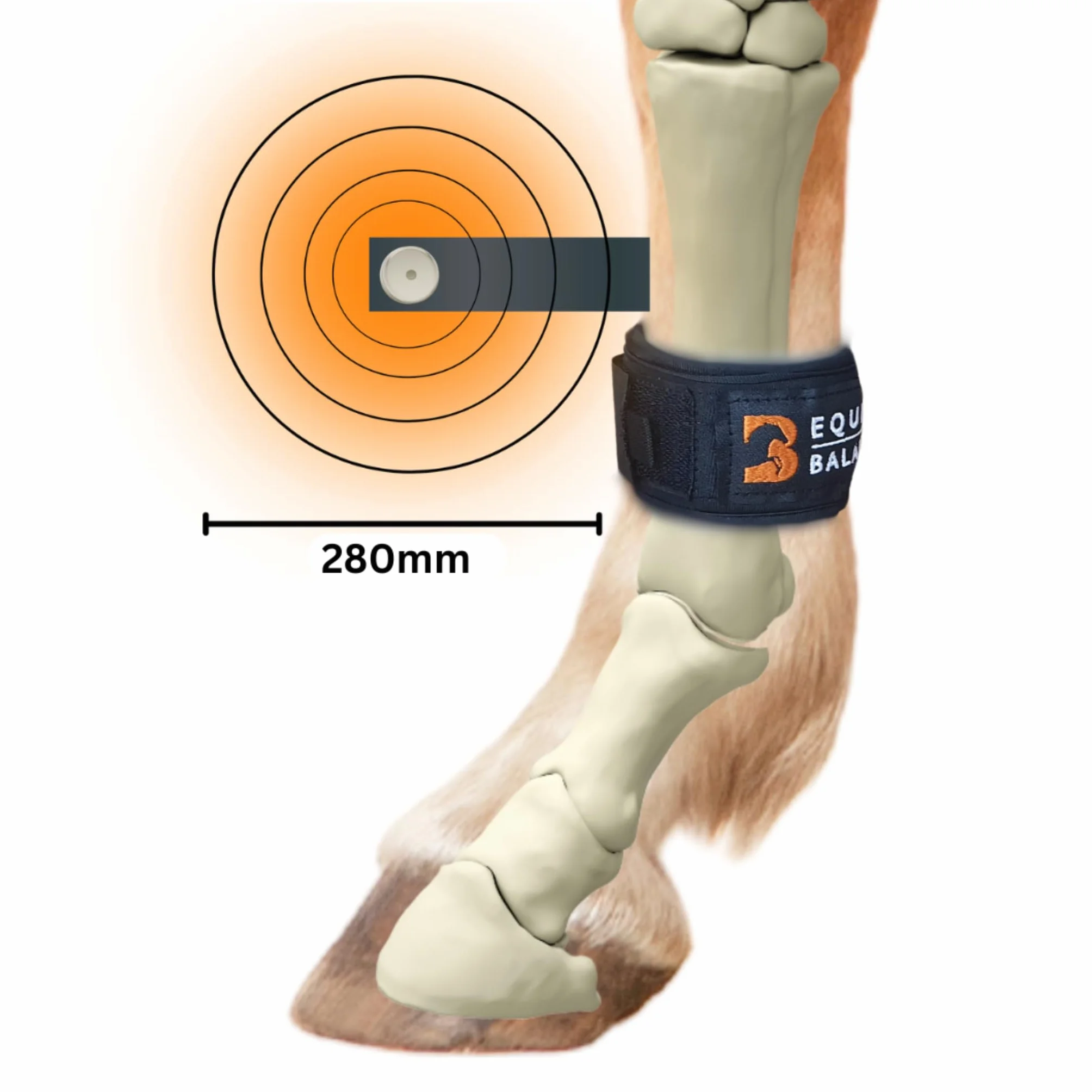 Magnetyczne opaski na nogi dla koni. Terapia magnetyczna Equine Balance Pastern Wraps dla koni i kucyków. Magnesy neodymowe do kopyt, fetlocka, kolan i stawu skokowego (szerokie)