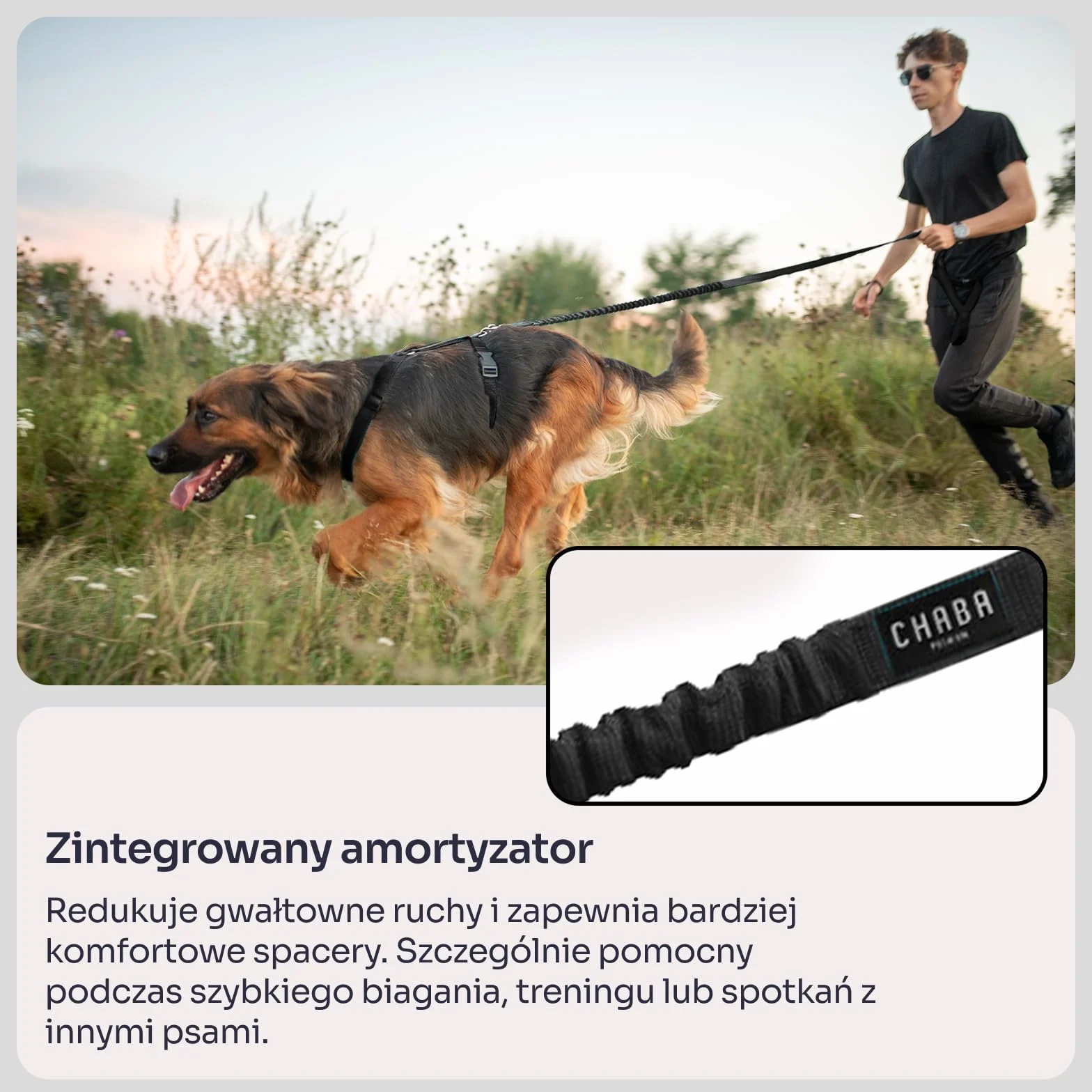 Chaba Smycz dla Średniego i Dużego Psa z Amortyzatorem i Pasem Biodrowym | Regulowana 2.8-3.8m | Szerokość 2.5cm | Redukująca Efekty Szarpnięć | Do Biegania | 3 Możliwości Noszenia | CZARNA