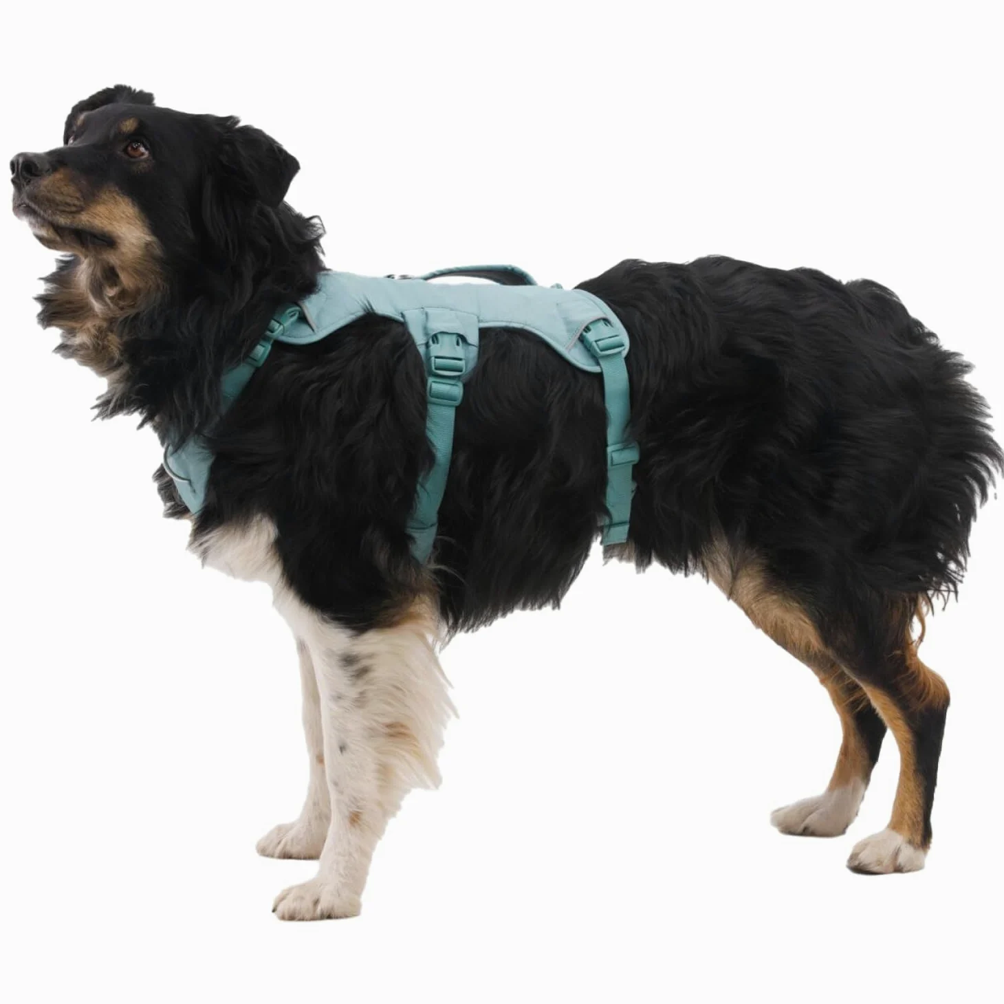 Ruffwear Web Master zastawa stołowa River Rock Green M