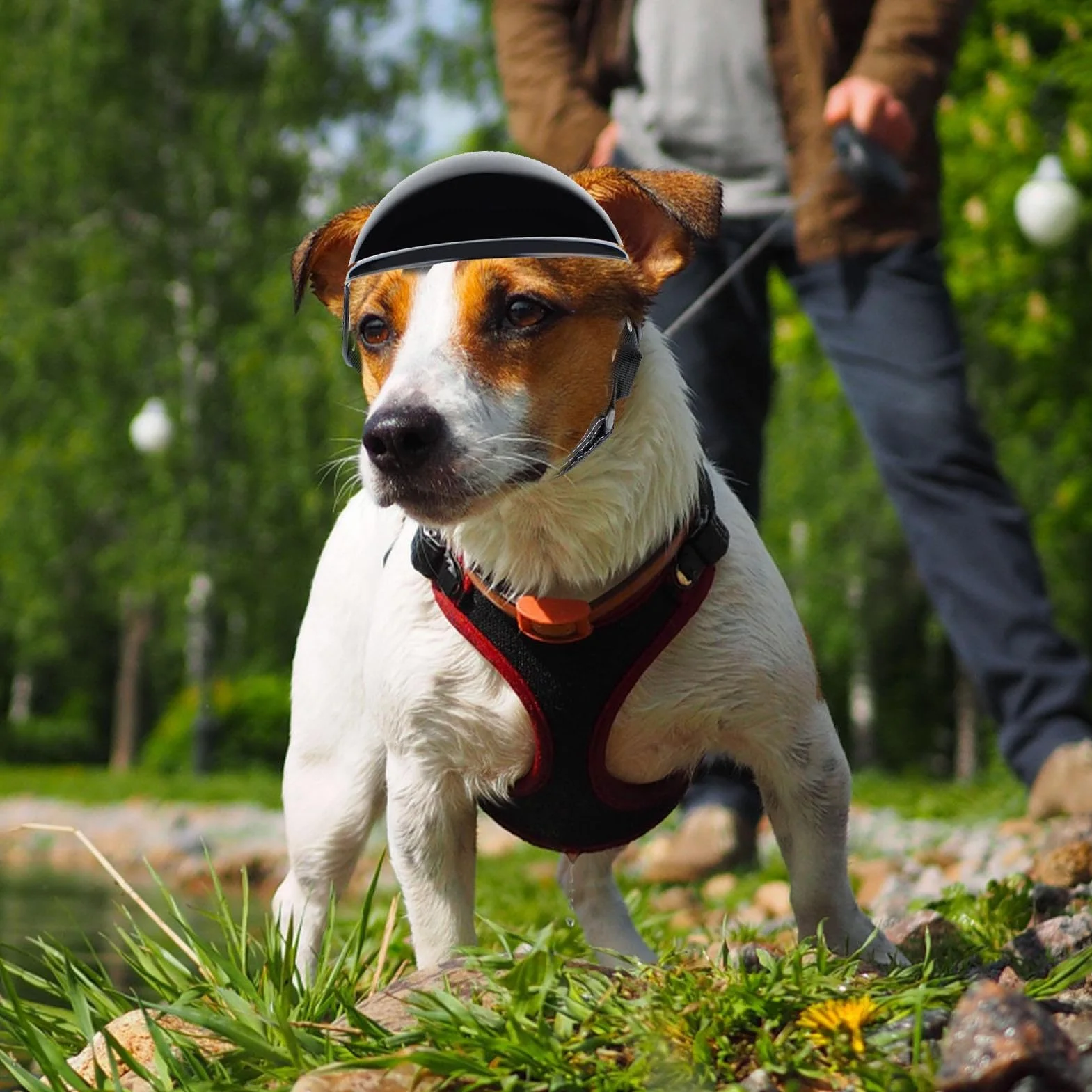 Kask i gogle dla psa zestaw kask i gogle dla psów, okulary przeciwsłoneczne dla psów regulowane czapki dla psów osłona głowy dla małych, średnich i dużych psów S//L (kod L kask sportowy +01 srebrny)