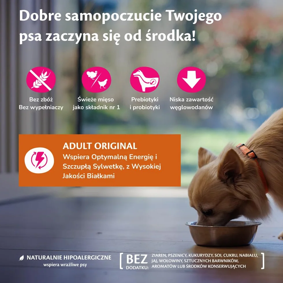 Wellness CORE Original 1.5 kg Kurczak i Indyk Sucha Karma dla Psów Małych Ras Bezzbożowa Hipoalergiczna