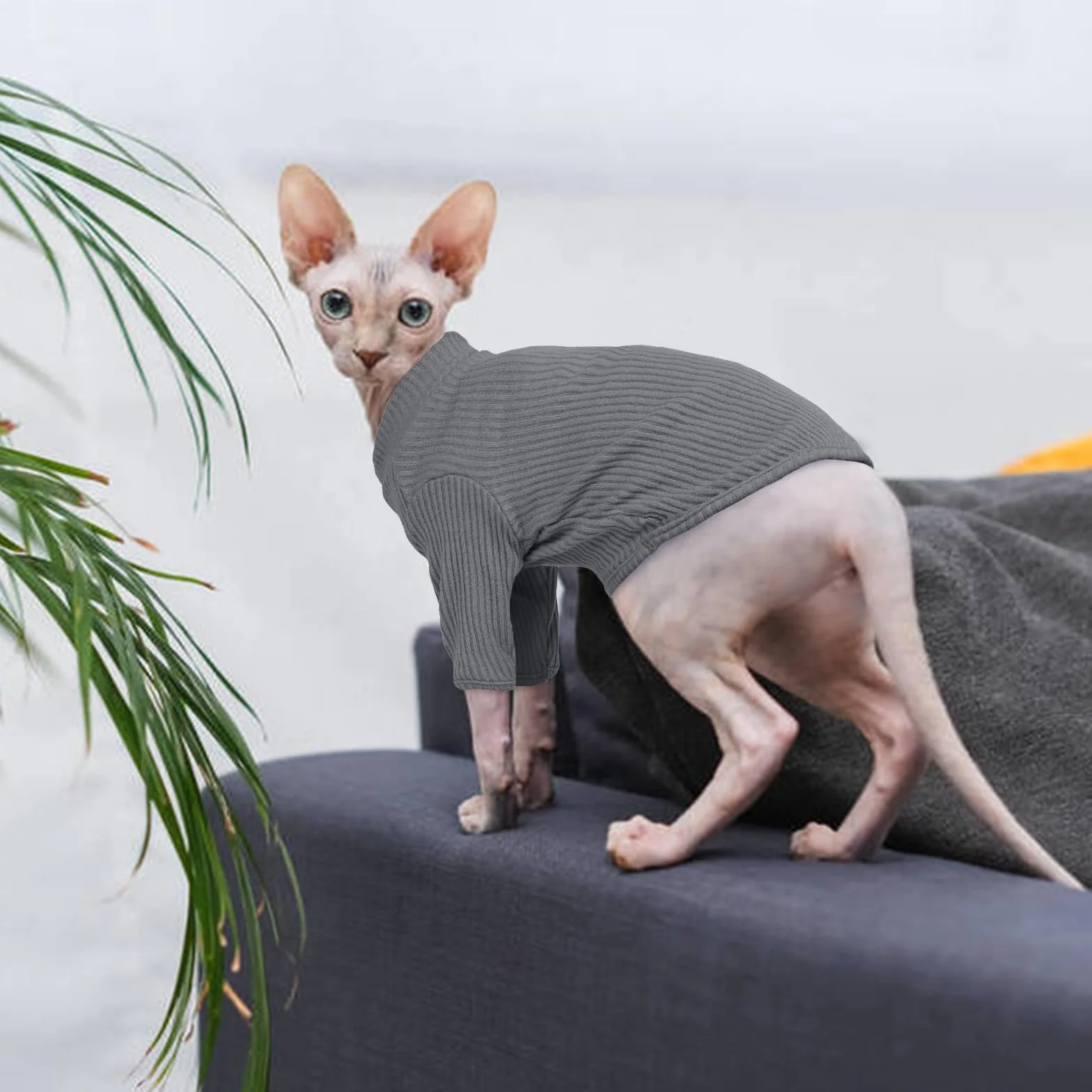 Gołębiarka bez sierści dla kotów Rollkragenpullover, oddychająca, urocza odzież dla kotów, swetrzyk Kątowniki z rękawami, piżama dla kotów Jumpsuit dla Sphynx, Cornish Rex, Devon Rex, Peterbalg