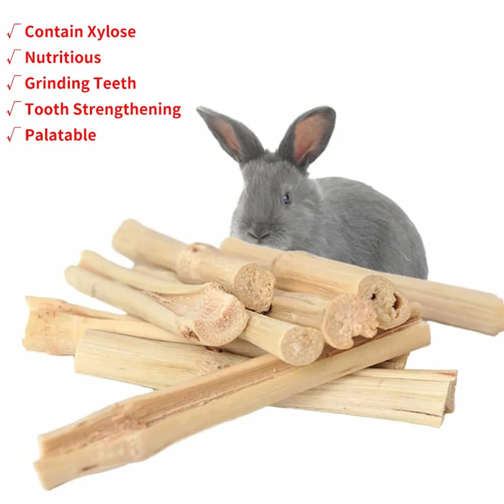 JabłKo żUć PałEczki,Bunny Kij Do żUcia,12 Szt. Kije JabłKowe，6 Szt. słodki bambus, MałE Zabawki Do żUcia,Zabawka Do żUcia KróLika Ze 100% Naturalną PałEczką JabłKową,KróLikiem,Chomikiem,Papugą