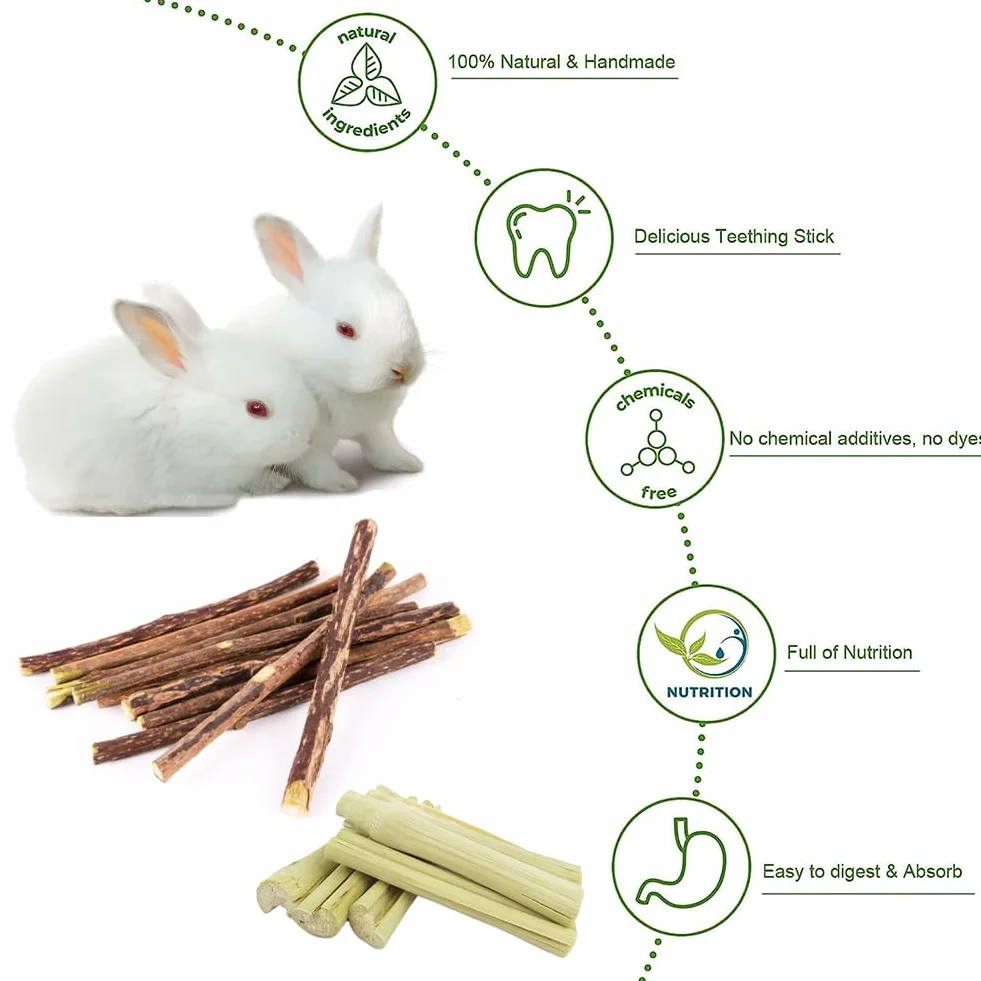 JabłKo żUć PałEczki,Bunny Kij Do żUcia,12 Szt. Kije JabłKowe，6 Szt. słodki bambus, MałE Zabawki Do żUcia,Zabawka Do żUcia KróLika Ze 100% Naturalną PałEczką JabłKową,KróLikiem,Chomikiem,Papugą