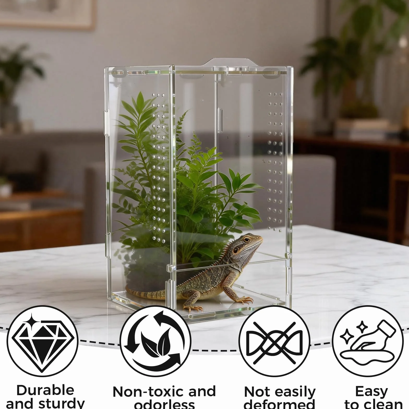 12 × 12 × 20 cm gady, terrarium akrylowe, przezroczyste 360°, mini terrarium, faunarium, terraria dla gadów i płazów, do hodowli, przechowywania i obserwacji